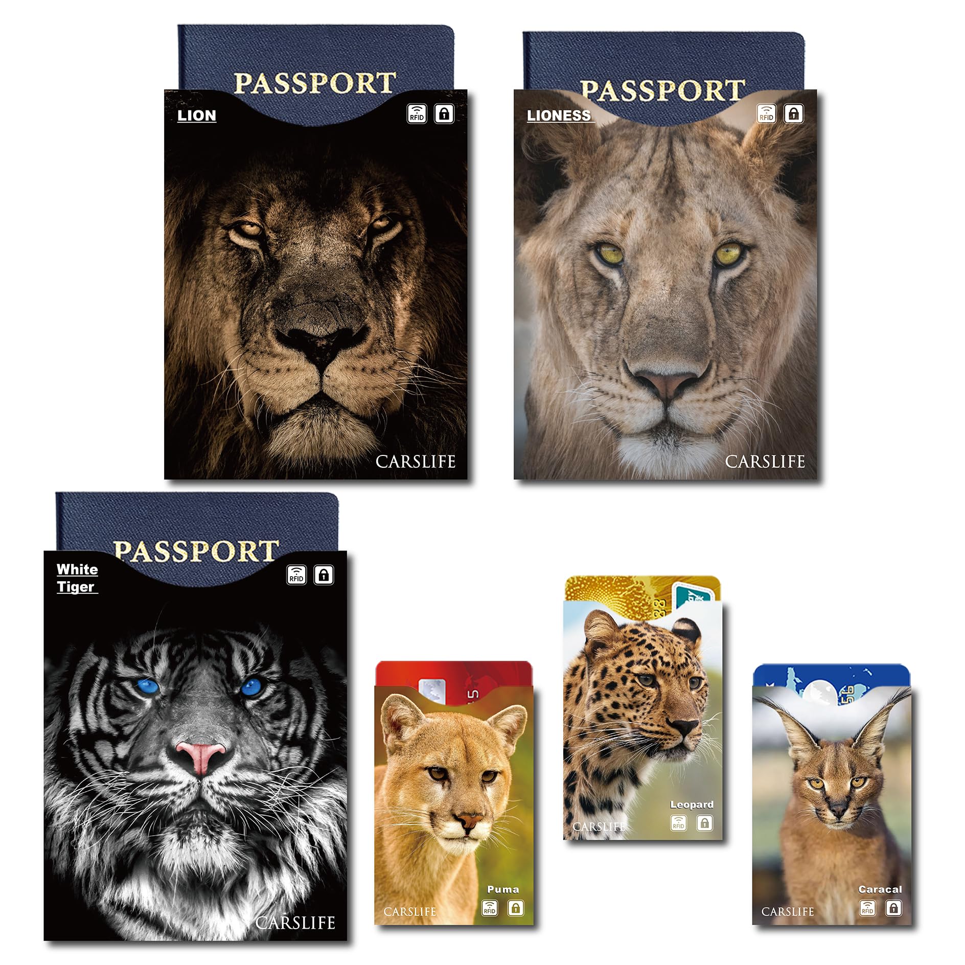 CARSLIFE 12 Fundas de Bloqueo RFID (9 Tarjetas de crédito y 3 Protectores de Pasaporte) Premium protección contra Robo de Identidad Fundas seguras Estuche de Viaje diseño Gato Gato Compacto