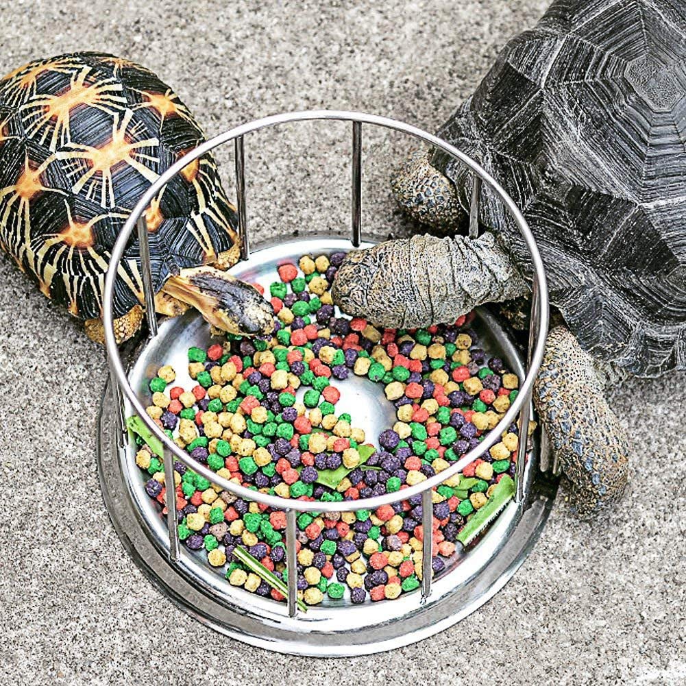 Reptilien Rock Food Wasserschale，Schildkröten Futterautomat Futter- und Wasserbehälter FutternapfLarge (7.5 * 4.8 * 1.9in)