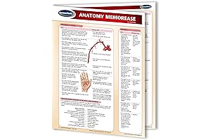 Anatomy MemorEase Guide: The Ultimate Nursing School Study Buddy