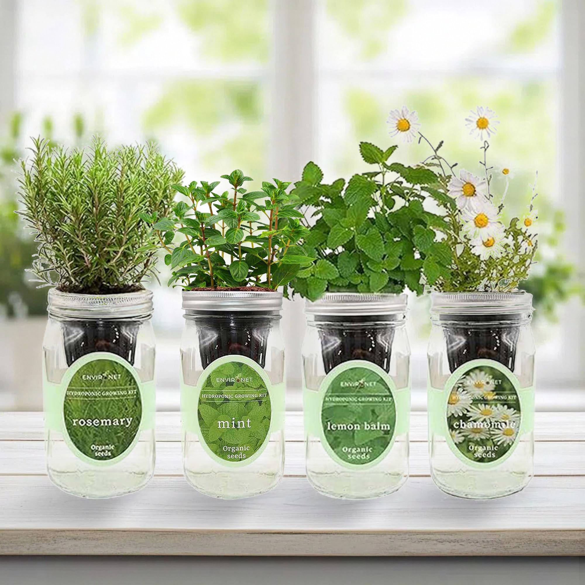 Amazon.com : Environet Hydroponic Mason Jar Organic Herbal Tea