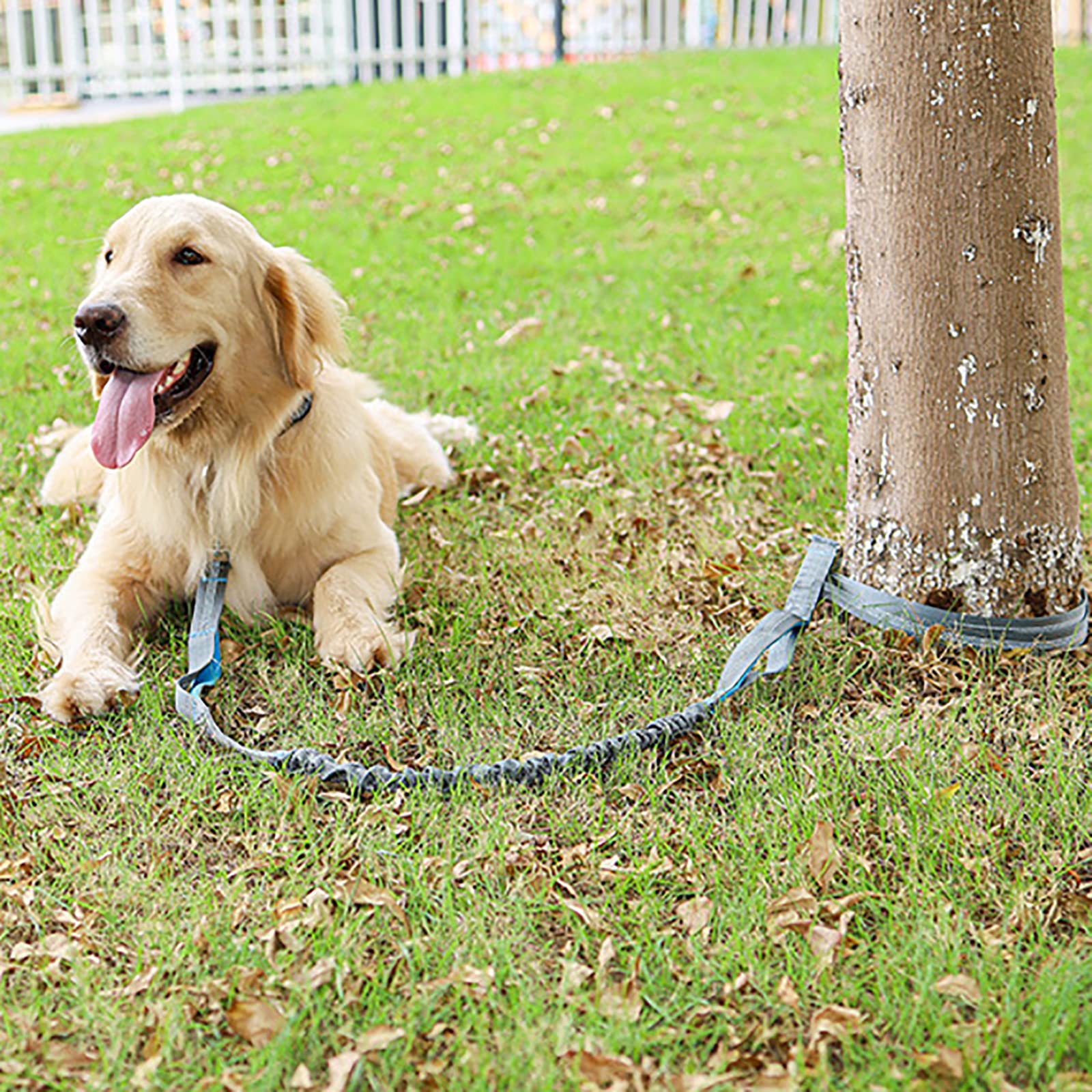 Correa de perro de cuerda resistente de nailon para mascotas, correa de plomo gruesa para perros grandes, medianos y cachorros pequeños para entrenamiento de control, correa de perro de mascotas,