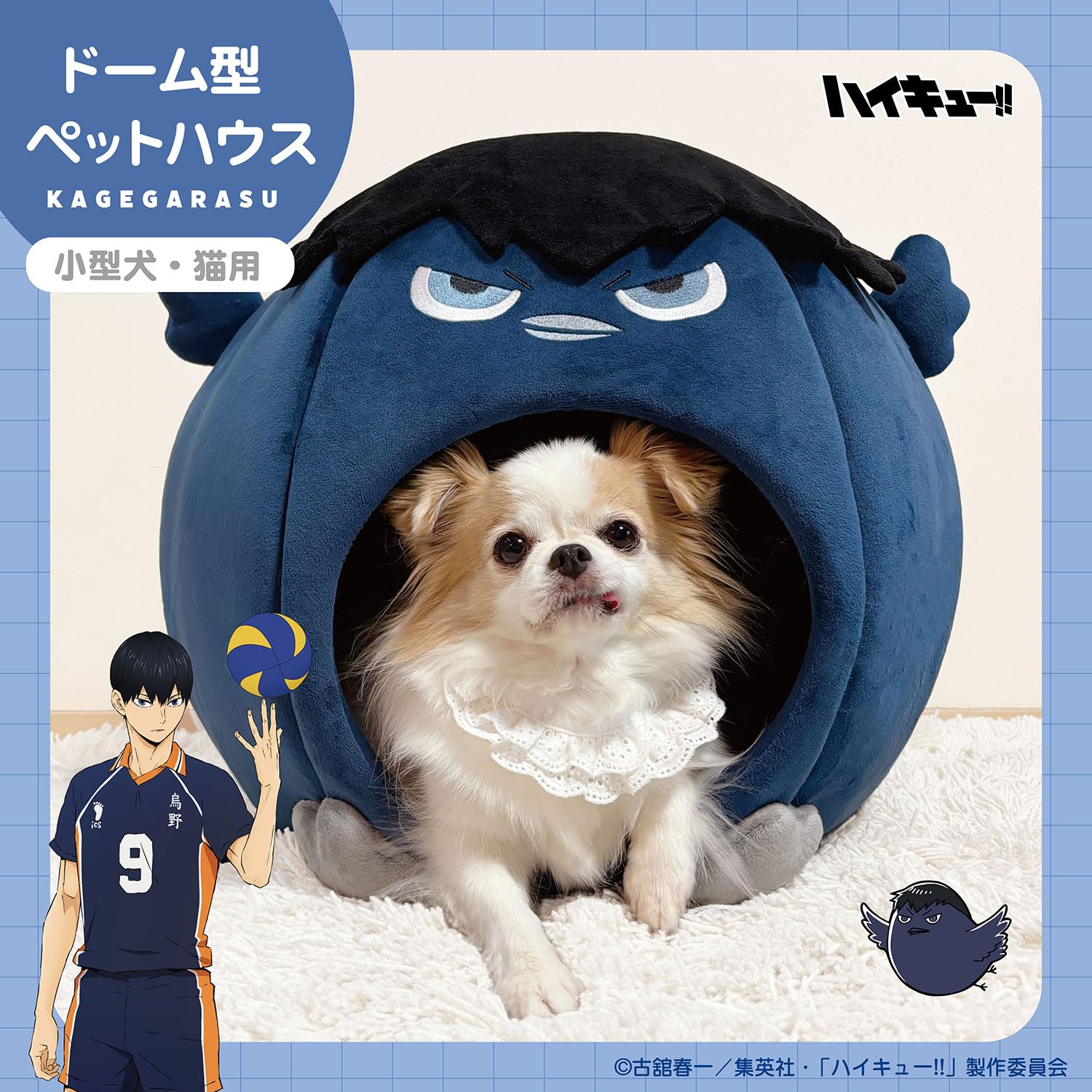 Amazon | shobido 粧美堂 ハイキュー!! ペットハウス （ カゲガラス