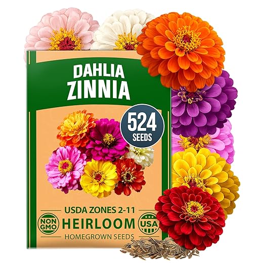 HOME GROWN Zinnia Dahlia Seeds Pack for 2026 Non GMO 524 Flower Seeds | Vibrant Zinnia Elegans for Pollinator Gardens, Borders & Containers | Easy-to-Grow Outdoor Blooms