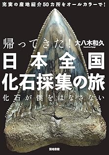 文化誌日本石川県/講談社/浅香年木（大型本） 文化誌日本石川県/講談社/浅香年木（大型本） 文化誌日本石川県/