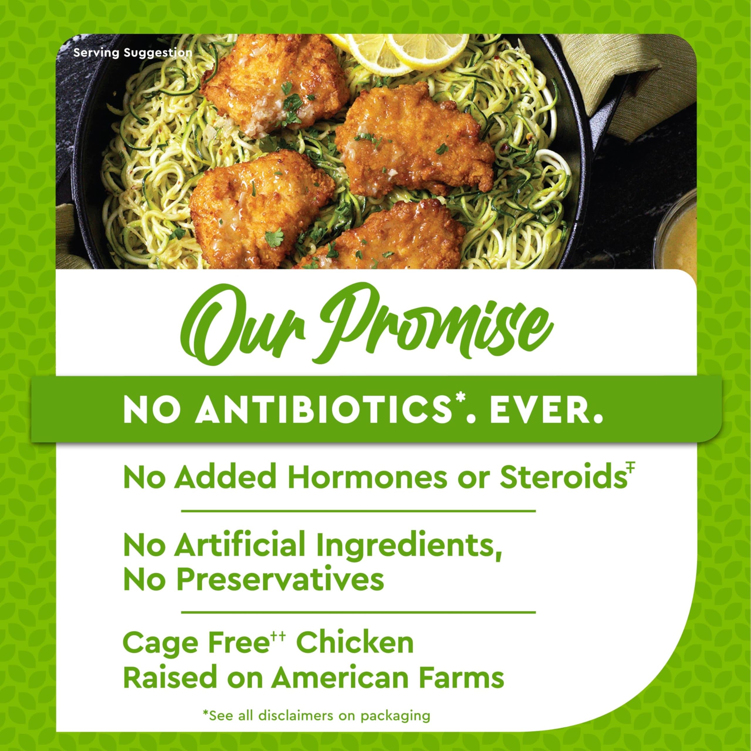 Just Bare Chicken Lightly Breaded Chicken Breast Fillets Fully Cooked 16 G Protein Frozen 1 5 LB — view 4