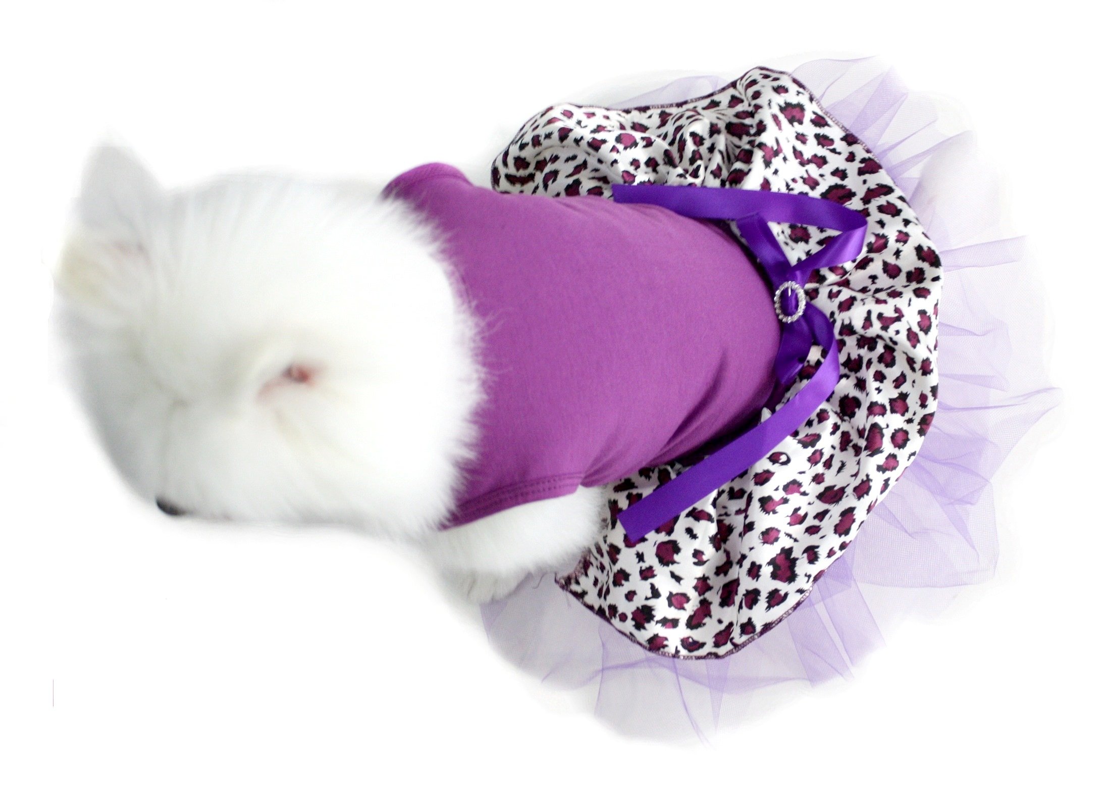 Robe pour chien motif léopard violet XS idéale pour les promenades en ville