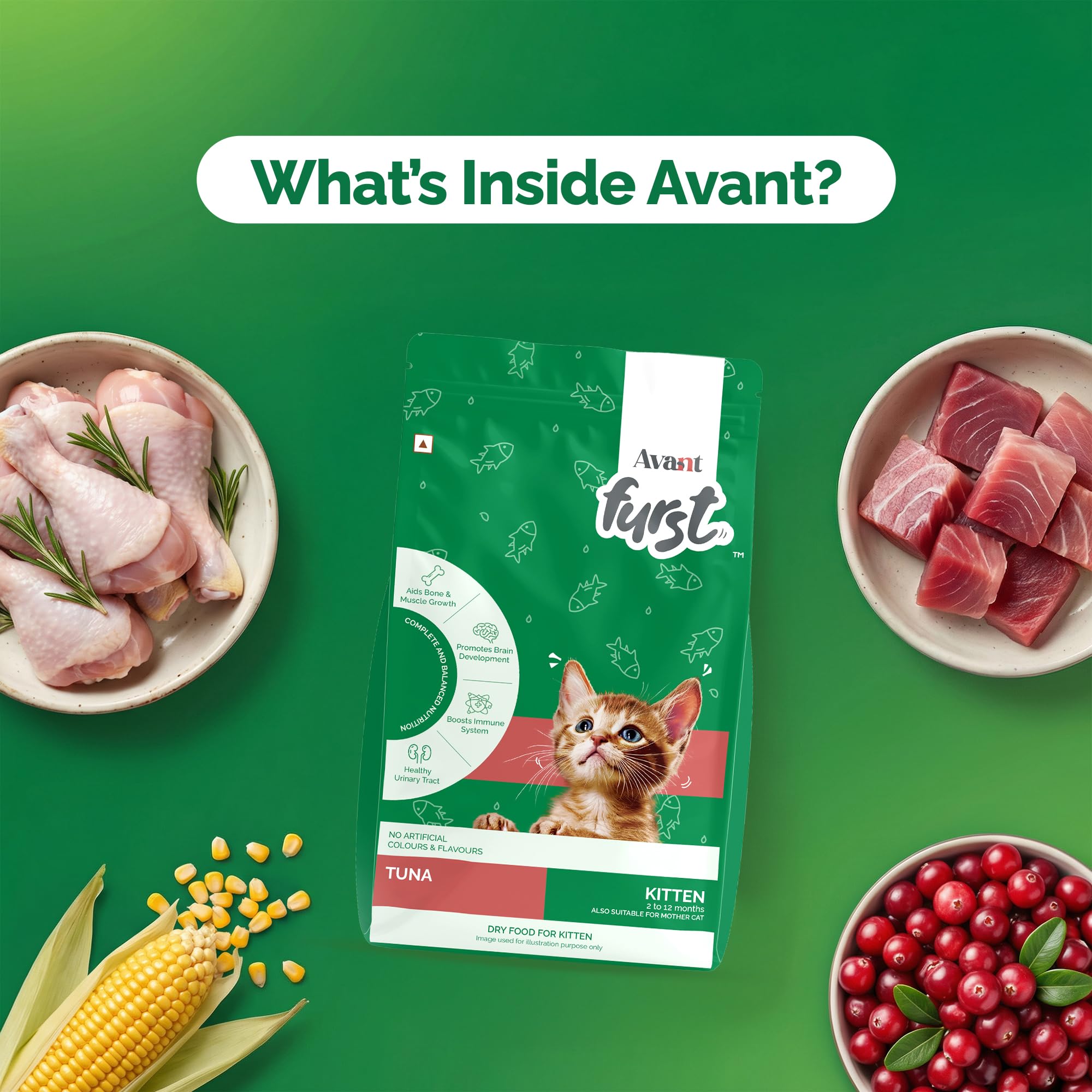 Avant Furst Kitten Dry Cat Food with Tuna Fish Flavor, Dry Kitten Food for 2β12 Months, No Artificial Additives, 1 kg 3