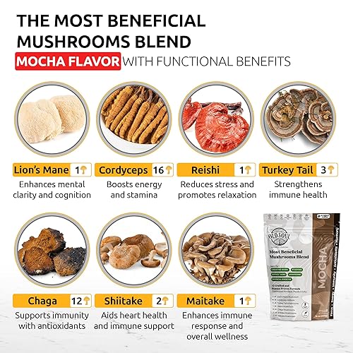 Miniatura 4 de OldSoul Superfood - Mezcla de café negro de hongos  Café arábica  Aproximadamente 70 dosis  Energía, enfoque, inmunidad (14 onzas (paquete de 1),