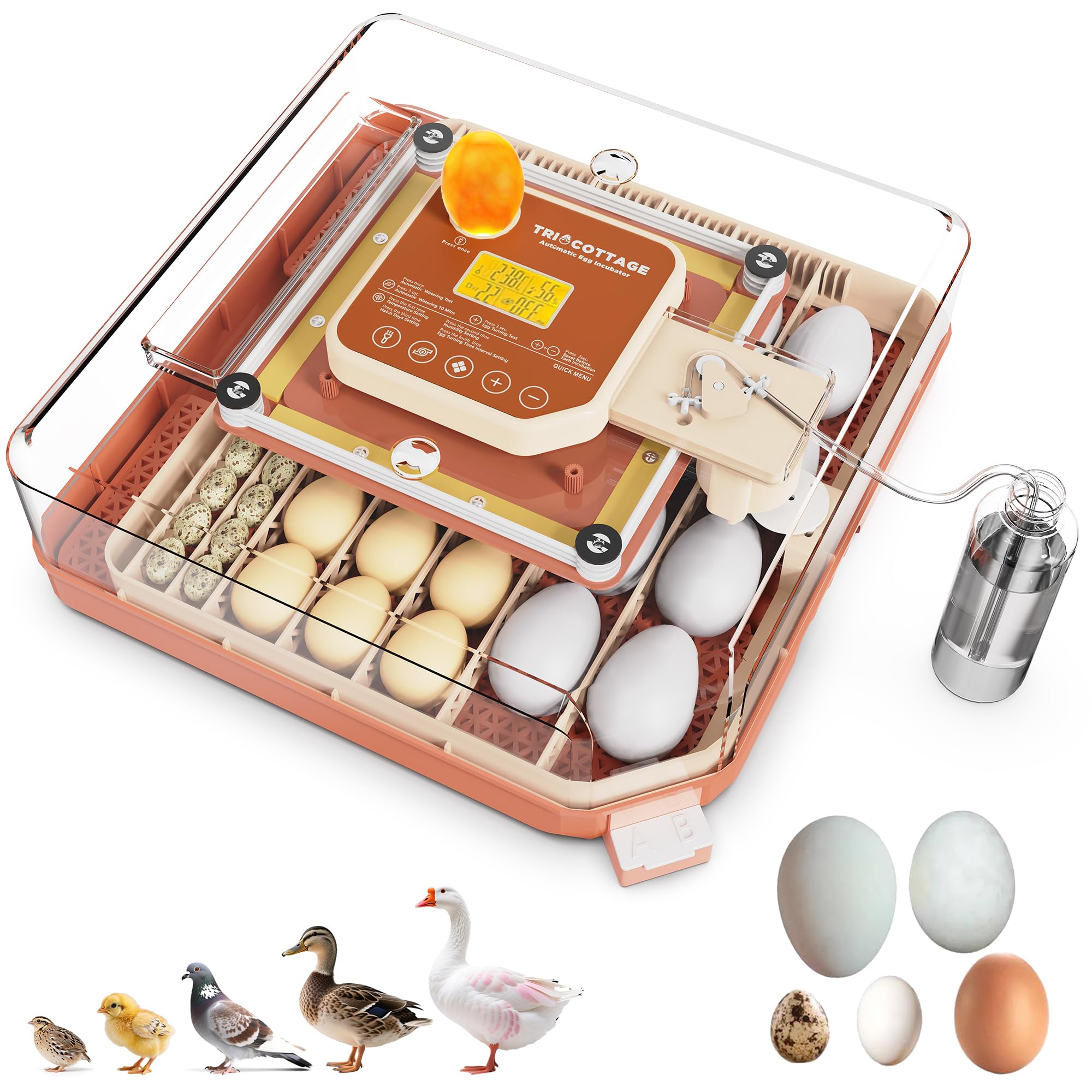 Incubadora automática de huevos de 48 huevos, incubadora con volteamiento y humidificación automáticas, ajuste de temperatura automática incubadora para huevos de gallina, ganso, codorniz