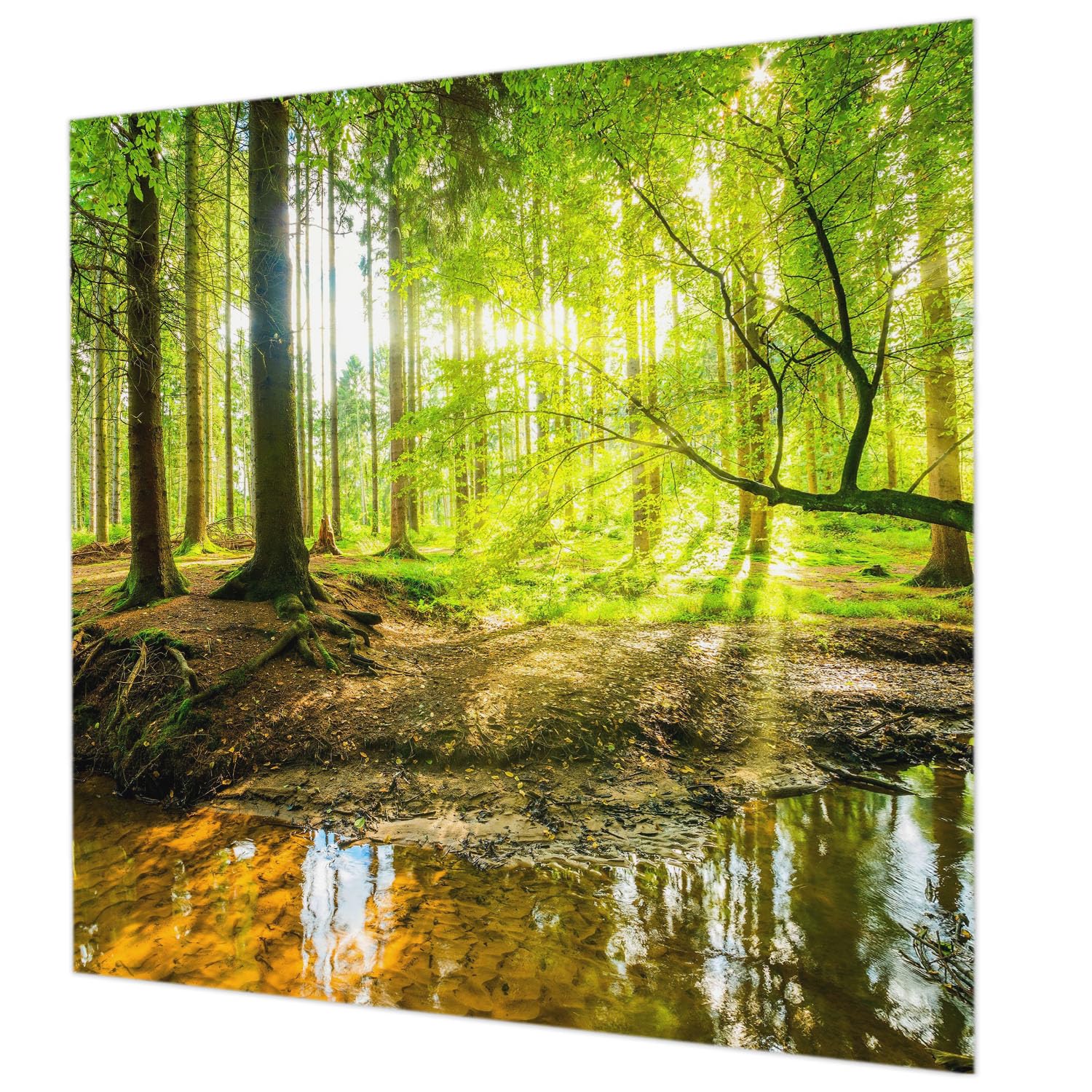 Papier peint intissé paysage vert pour créer un salon nature et relaxant