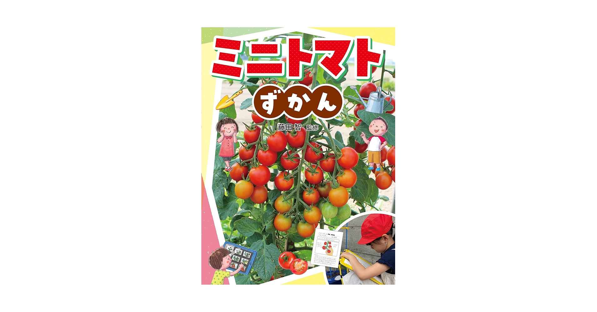 日本画⑹　ミニトマト 日本画⑹ ミニトマト 日本画⑹ ミニトマト 園内 せな on X: