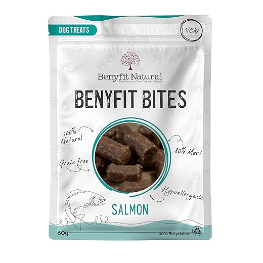 Benyfit Natural Dog Treat Bites, Salmon Recipe, Grain Free Dog Treats, Natural Dog Treats for Small Dogs & Large Dogs, Premium Dog Training Treats, Puppy Treats from 8 Weeks, 60g