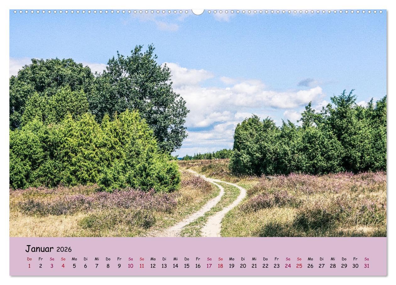 Lüneburger Heide Wege (hochwertiger Premium Wandkalender 2026 DIN A2 quer), Kunstdruck in Hochglanz: Einzigartige Heidelandschaft erleben (CALVENDO Natur)
