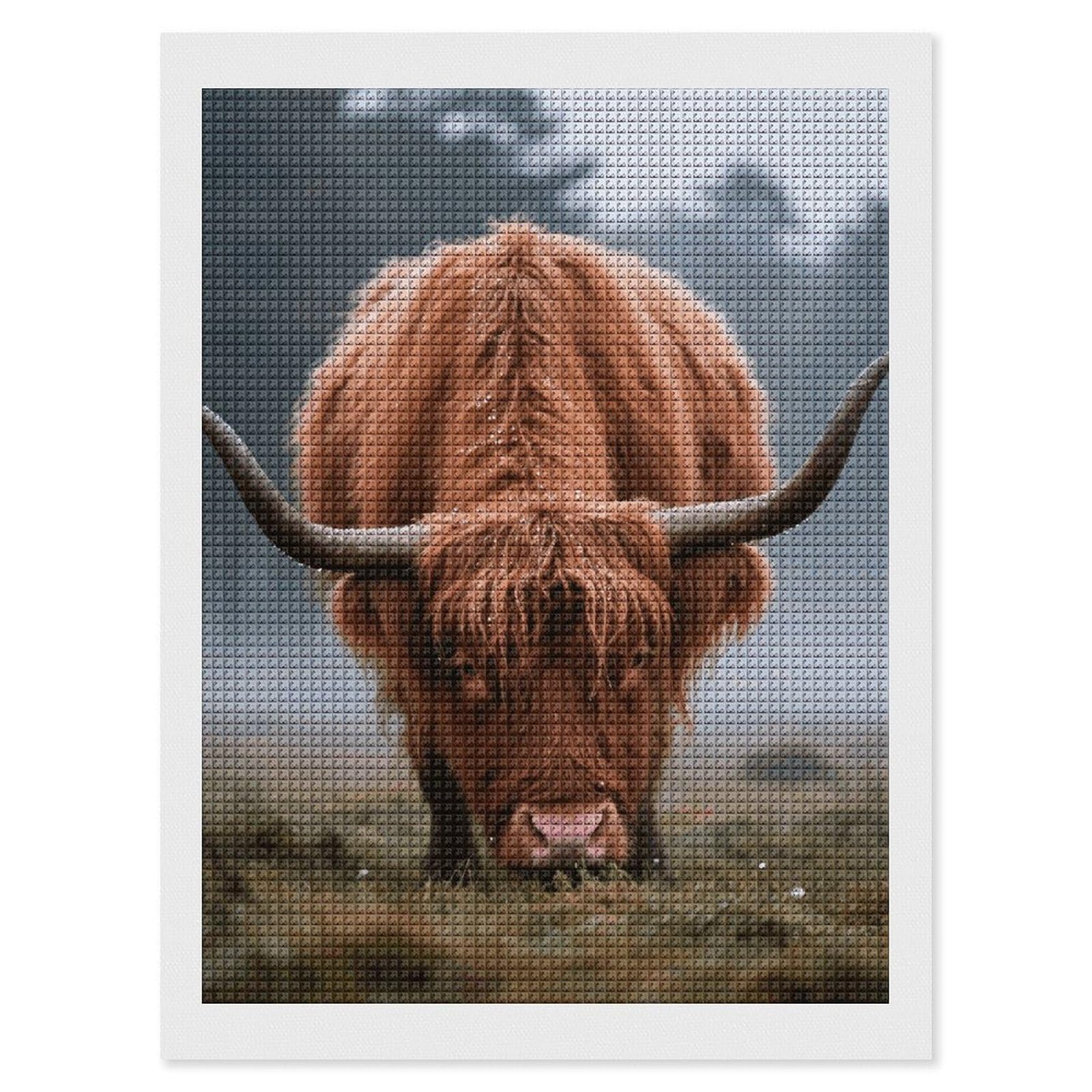 FodPand Highland Cow 5D Diamond Painting Kits for Adults Beginners Full Drill Square Diamond Dots Pictures Gem Art Supplies for Home Wall Room Decoration DIY Craft Set Gift 12x16