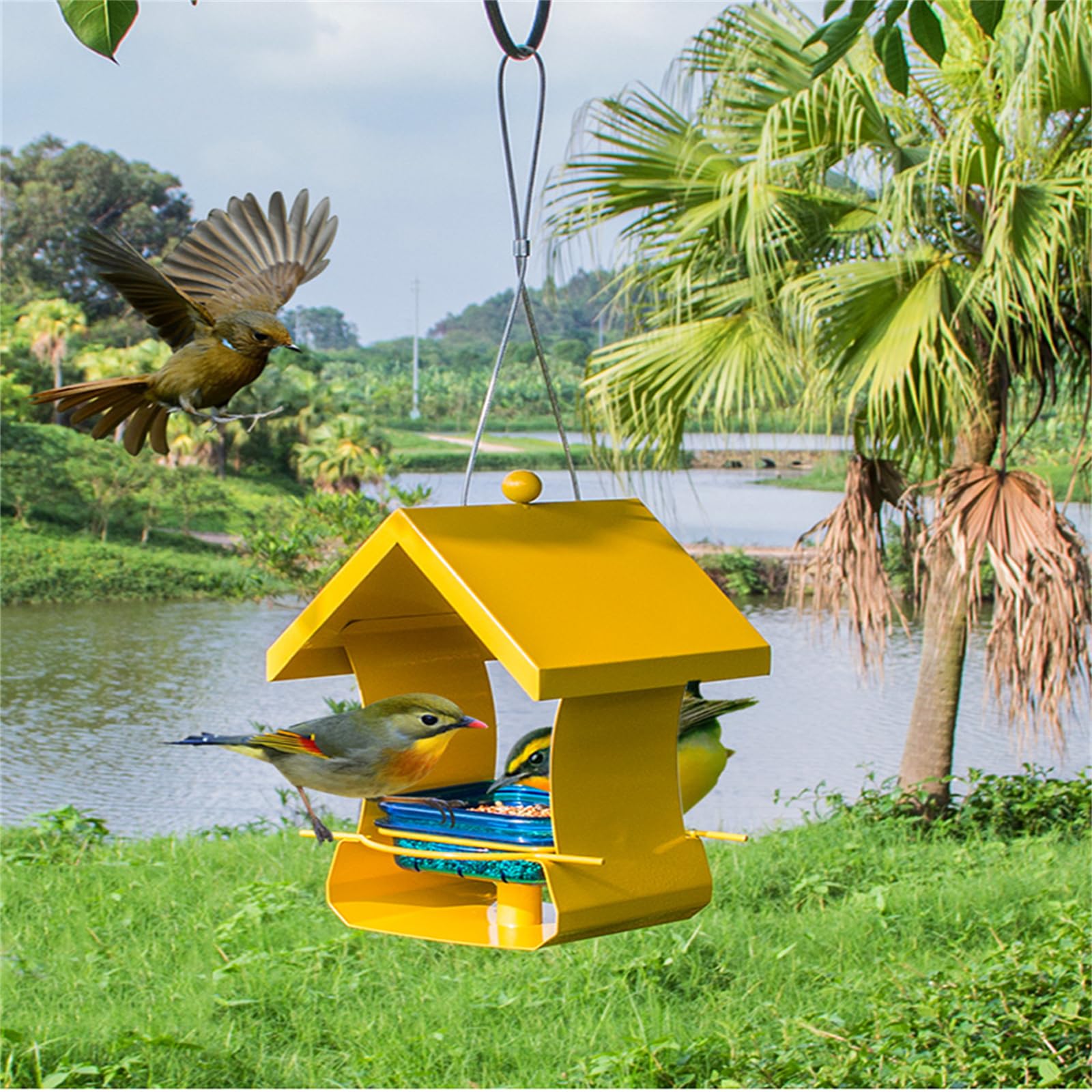 Esterno Mangiatoia per uccelli da esterno Appeso Mangiatoia da campo a prova di pioggia Balcone Villa Scatola per alimenti per uccelli Bird Feeder