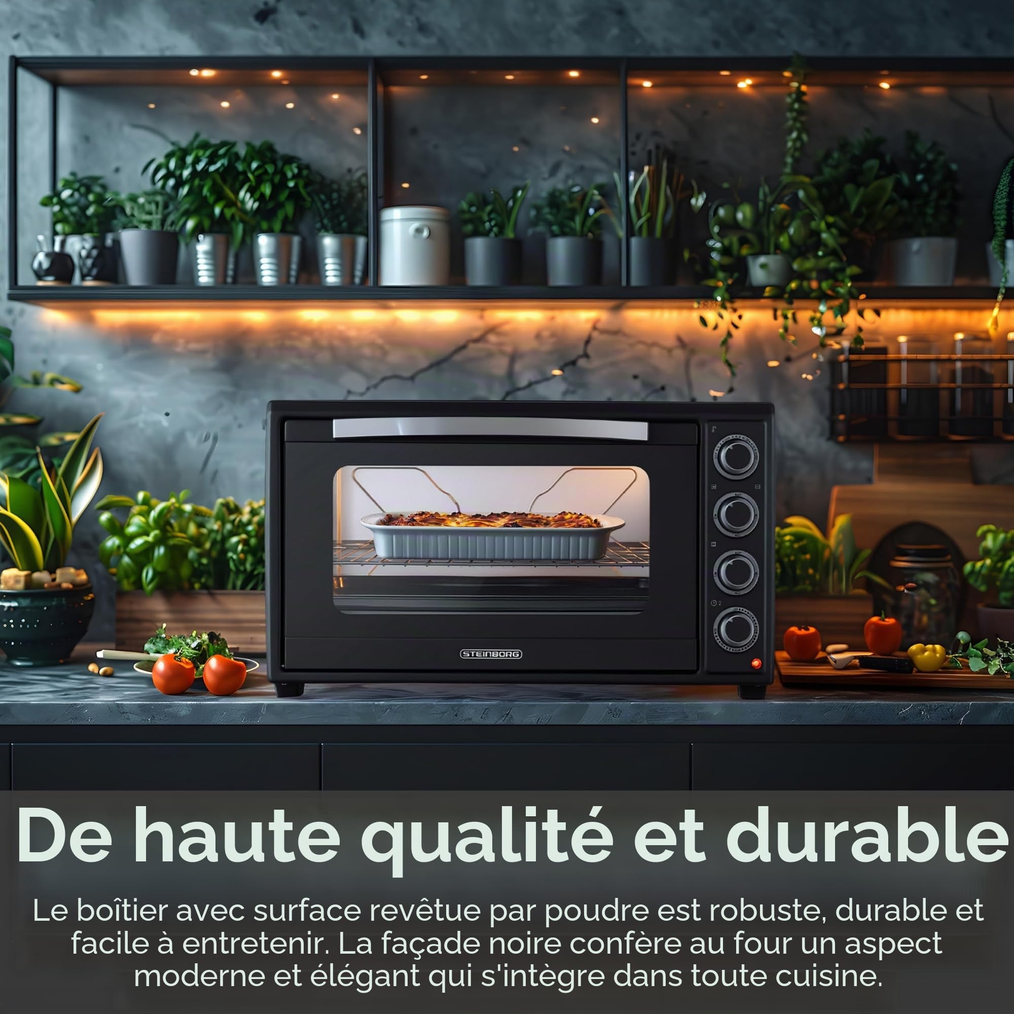 Steinborg® Mini four à pizza 3 en 1 3 en 1 avec chaleur tournante et tournebroche, 2000 W, taille XXL, 100 à 230 °C, minuterie 60 min, chaleur de voûte/sole et convection, four à pizza 3 en 1, avec