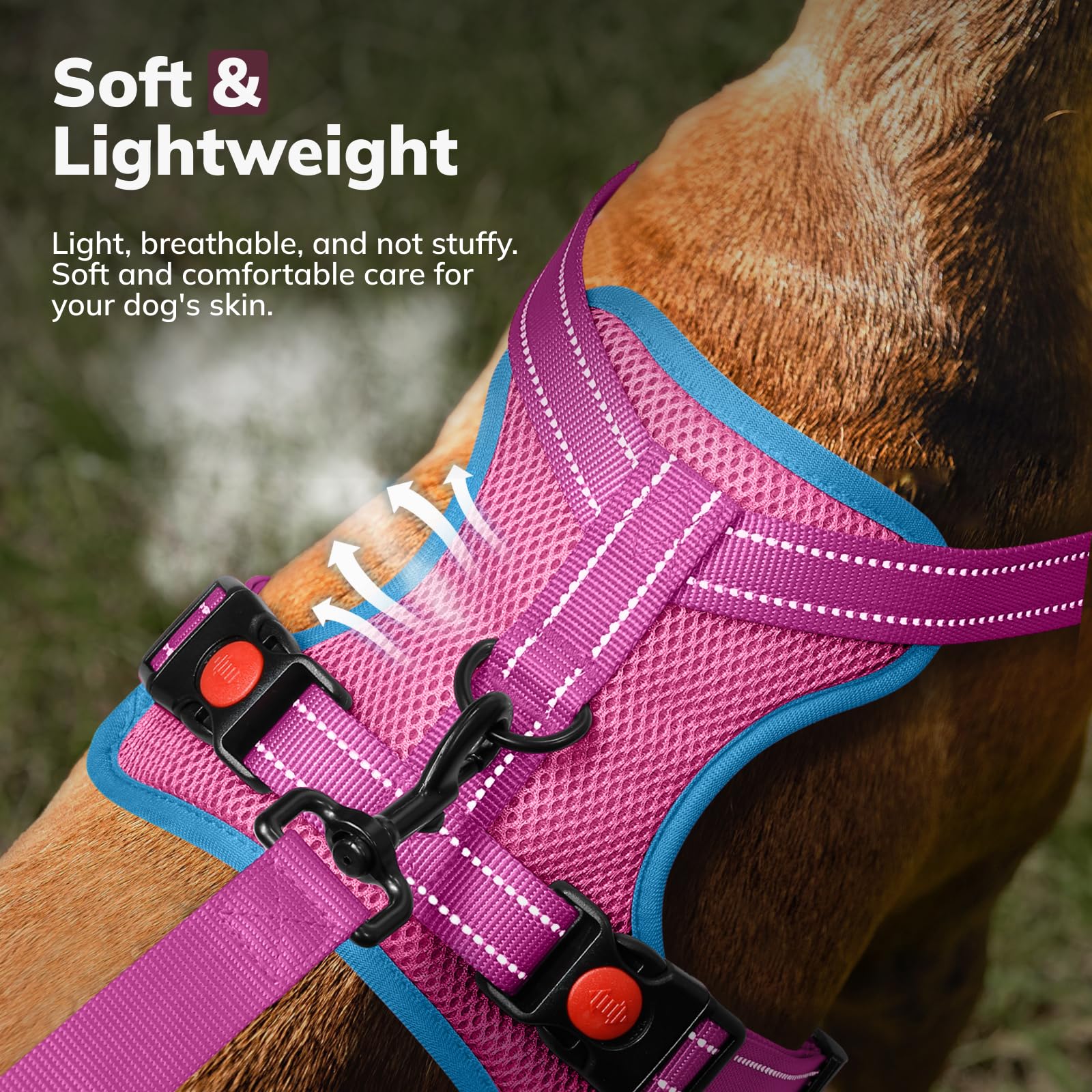 FAYOGOO Pettorina Cane, Pettorina Cane Taglia Media Regolabile, Traspirante Pettorina Cane Taglia Grande con Guinzaglio, Pettorina Antifuga Cane per la Corsa, Passeggiate, Jogging (Rosa, M)