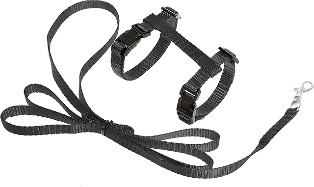 Flamingo Asp Kitten Harness and Lead - Black Katt Sele