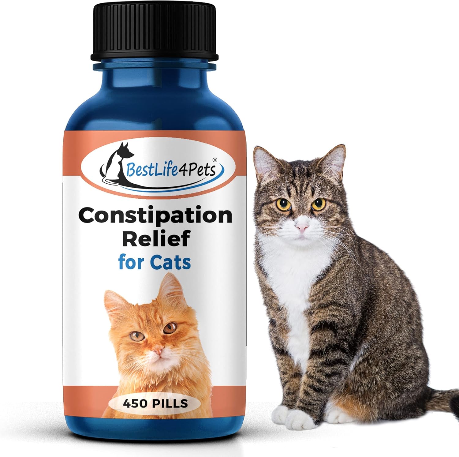 How To Relieve Gas In Cats Amazon.com : BestLife4Pets - Cats Constipation Relief and Stool