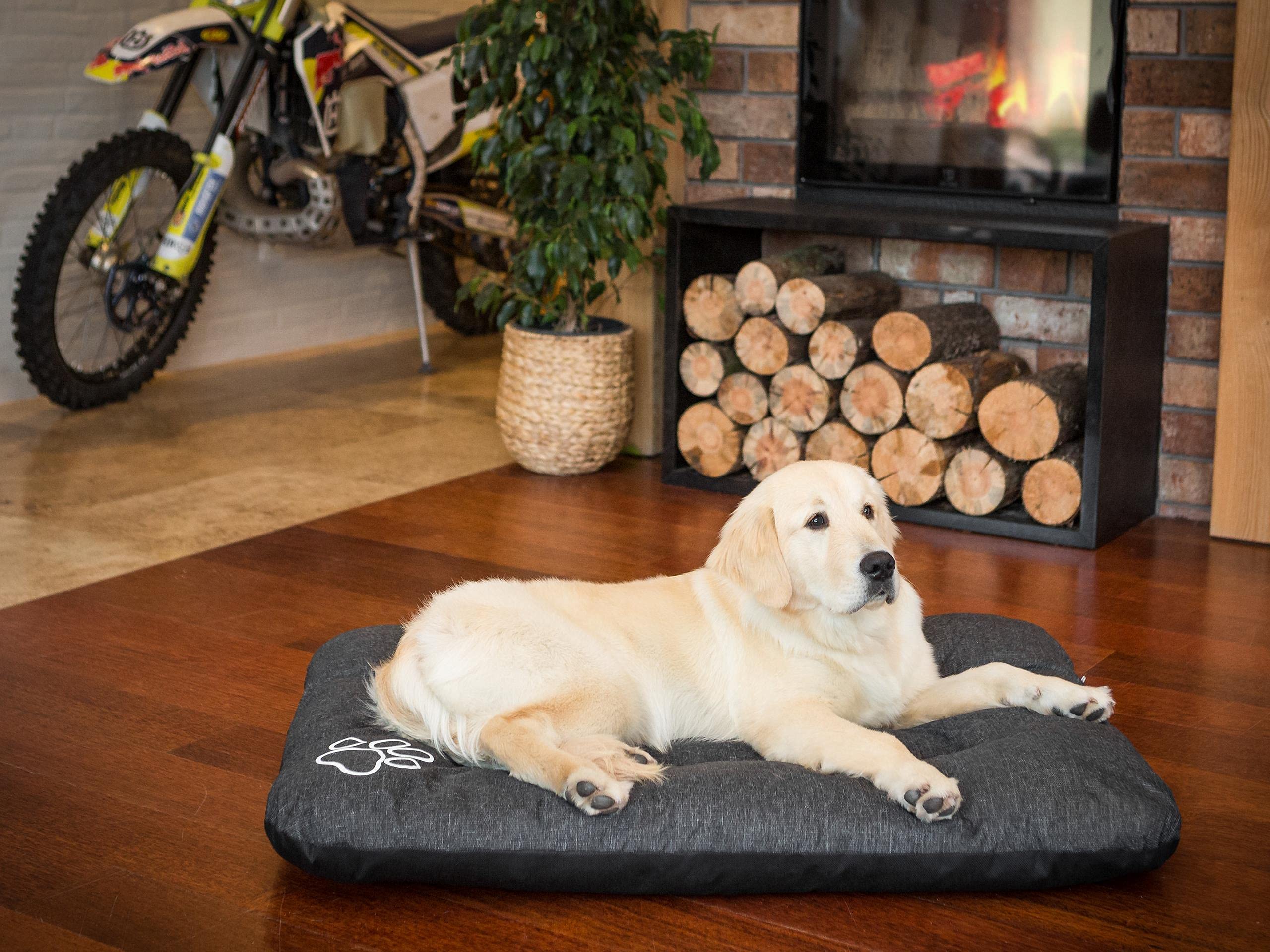 Cama para perros, sofá para perros, cojín para perros, sofá, colchón, cama, cama para animales, suave, cojín R3, 115 x 80 cm, color negro con piedras ecológicas