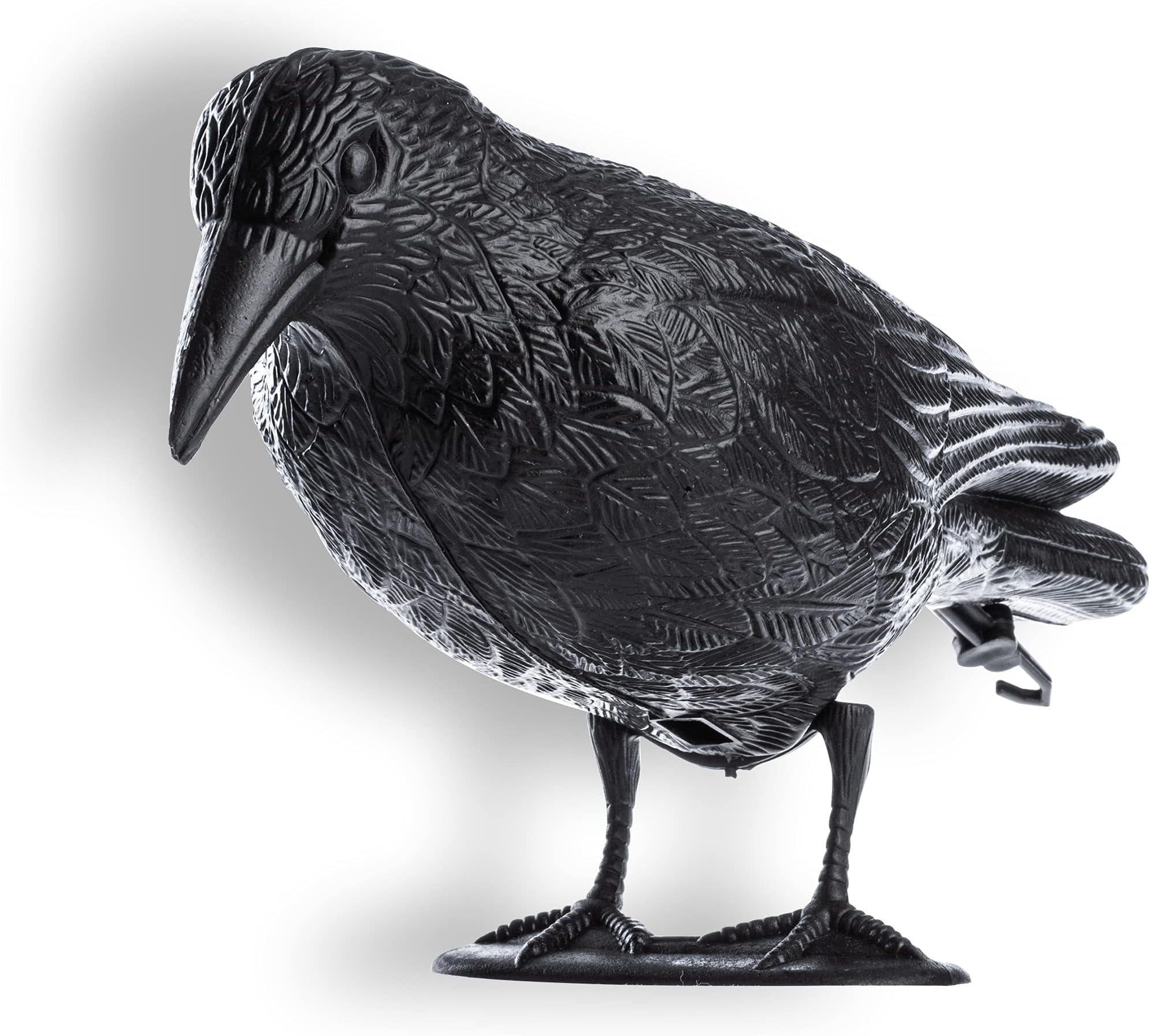 Black Raven, Pigeon Repellent and Pigeon Deterrent Made of Plastic, Bird Repellent, Natural Pest Control, Protection from Annoying Birds
