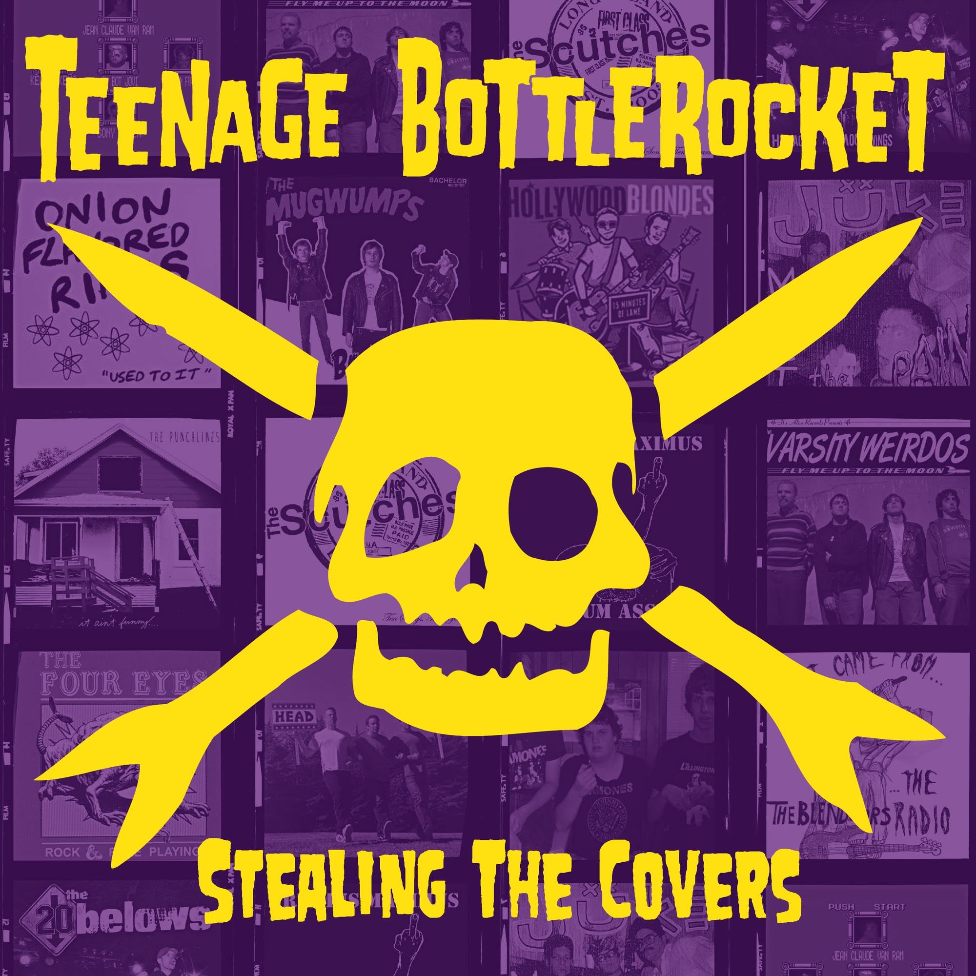 Stealing The Covers [VINYL]