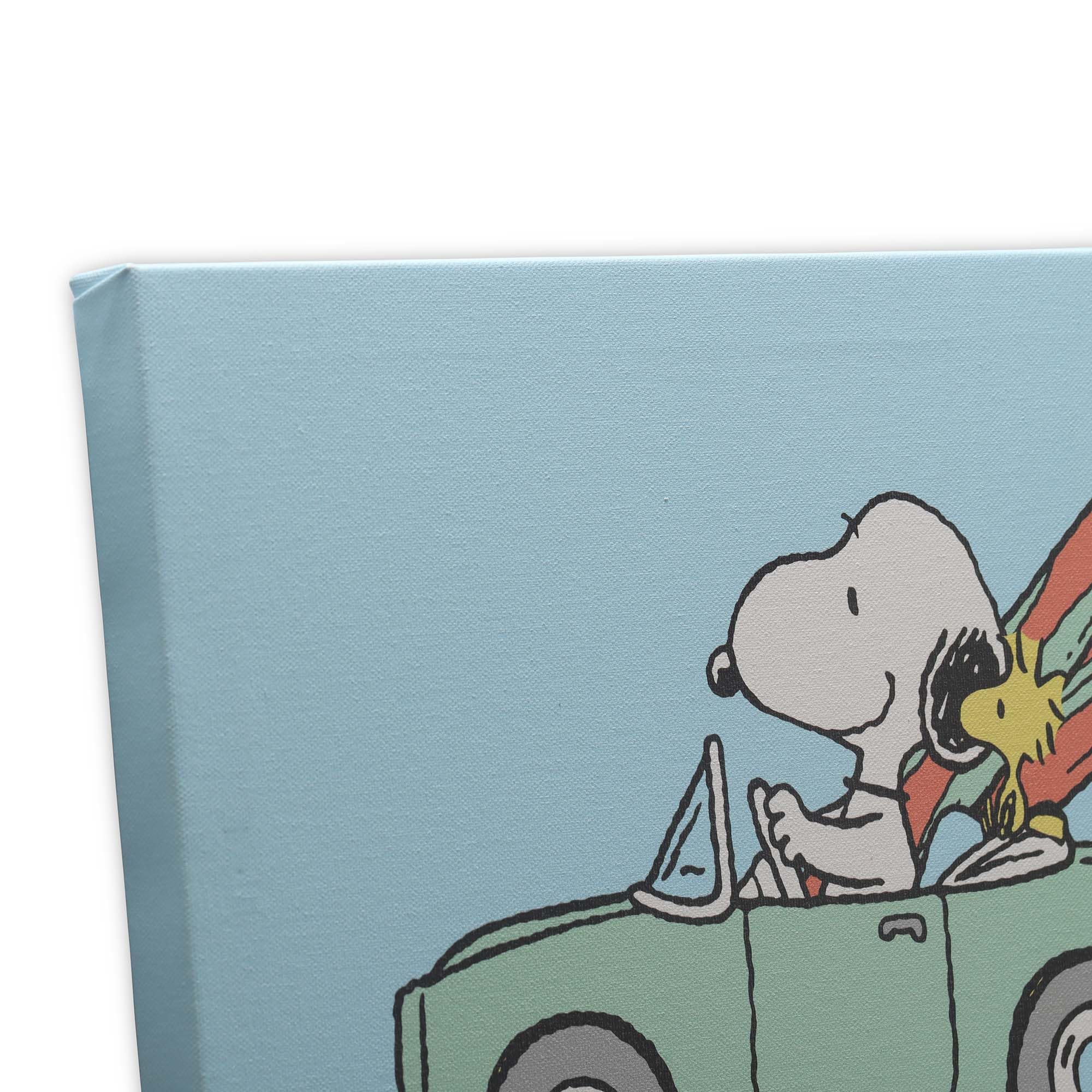 Amazon.com: Peanuts Snoopy and Surfboards in Car Gallery