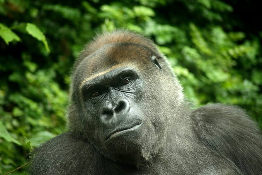 ♥︎◇遠く撮るならこのレンズ♪ TAMRON 70-300mm PENTAX TAMRON Telephoto Zoom Lens AF 70-300mm F4-5.6 Di LD MACRO 1