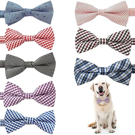 small dog bow tie collar
