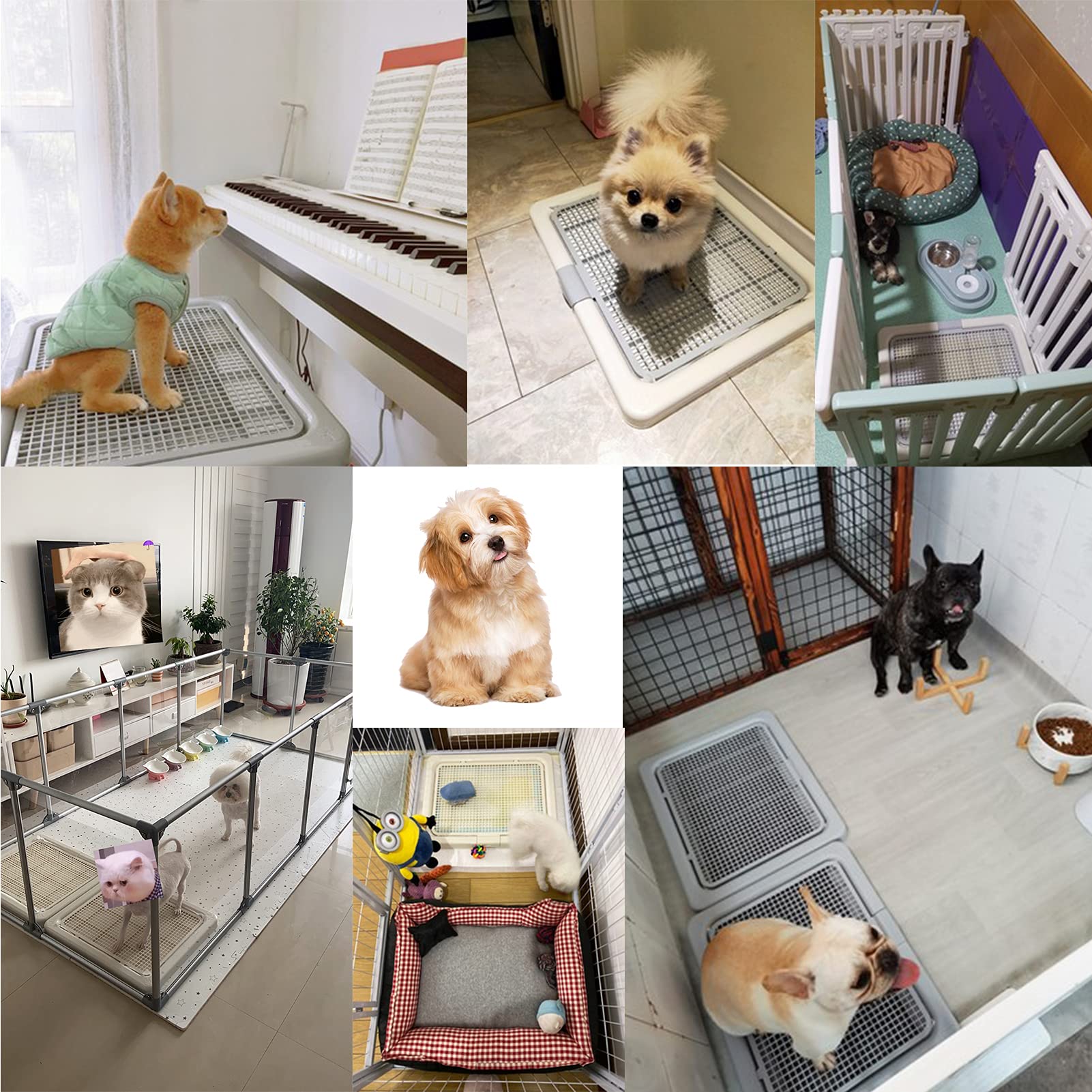 Amazon | Smart Paws 55X45CM 小型犬用トイレテディトレーニングトレー