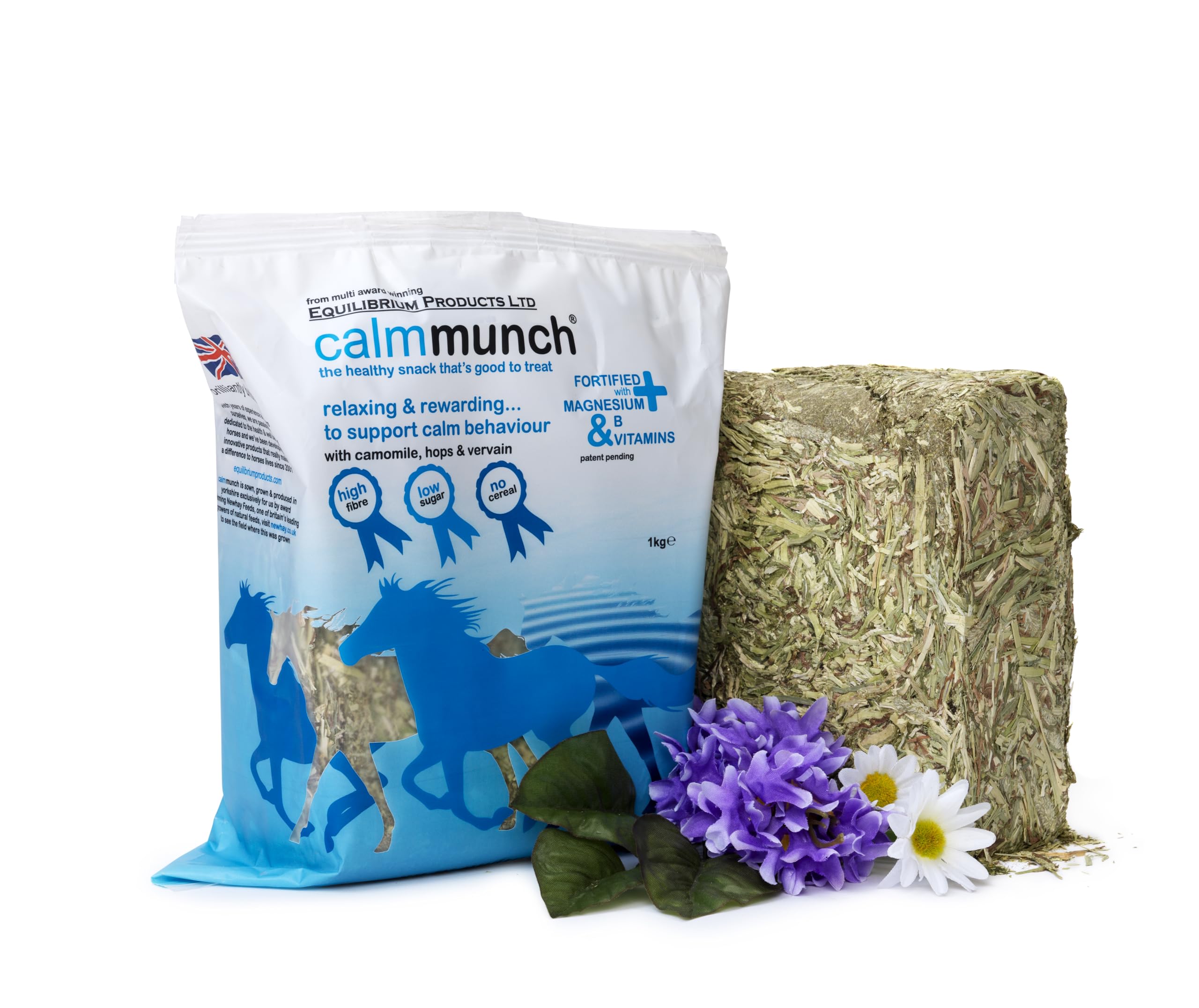 Equilibrium Calmmunch