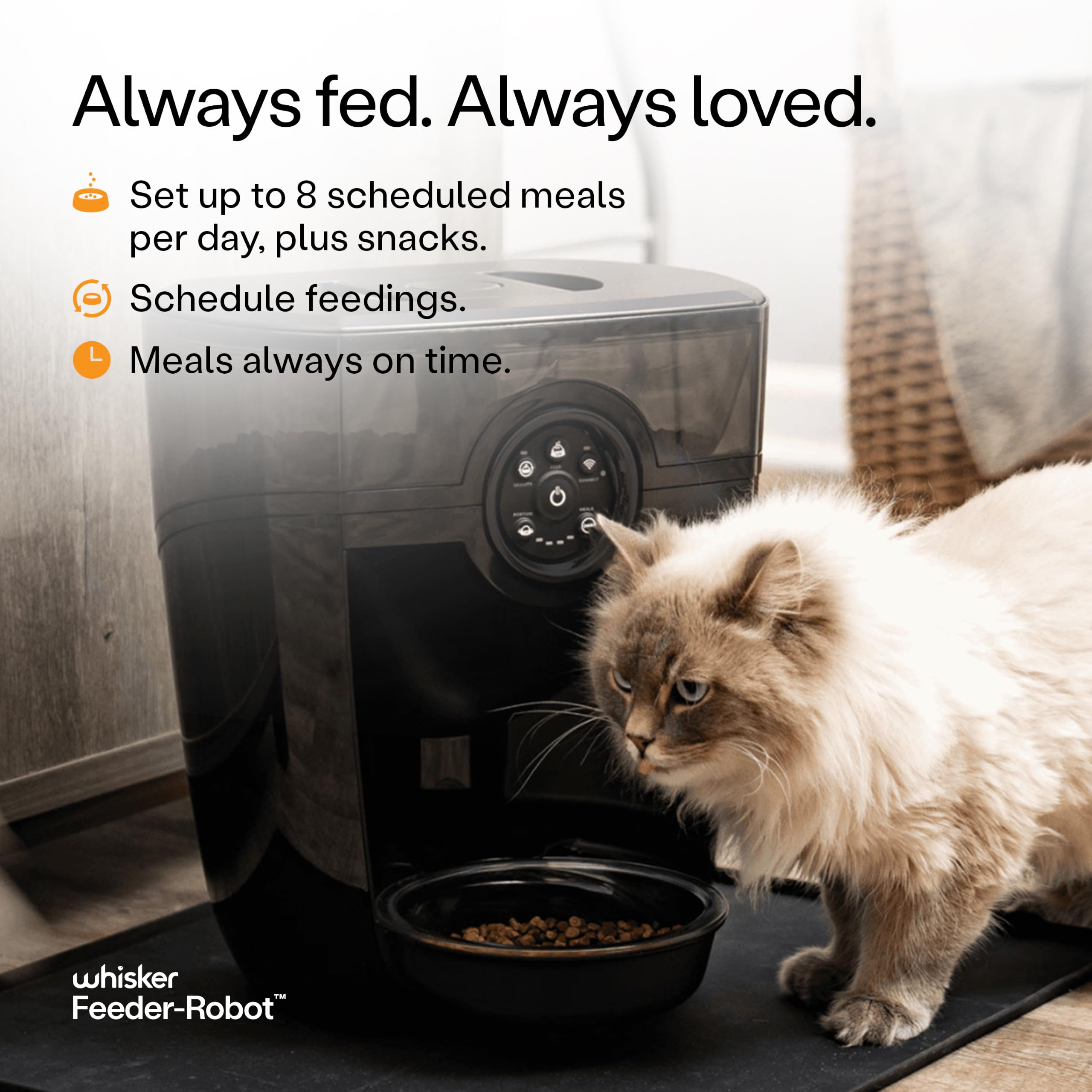 Whisker Feeder-Robot