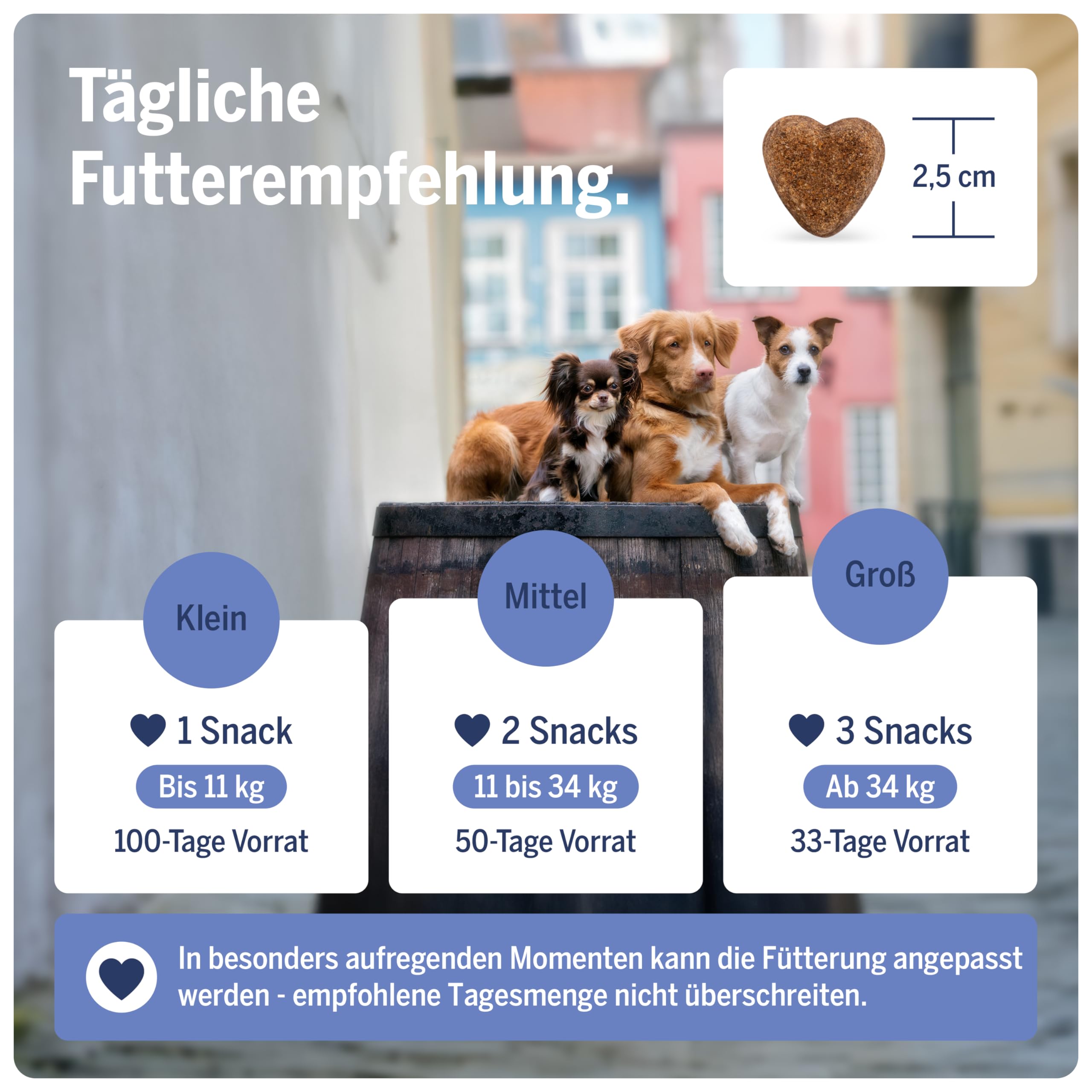 Seelenruh - Beruhigung Hunde Snacks mit L-Tryptophan, L-Theanin, Baldrian & Melatonin - Entspannungs-Snacks für Ruhe & Entspannung - Alternative zu Beruhigungsmittel für Hunde 100 Stück