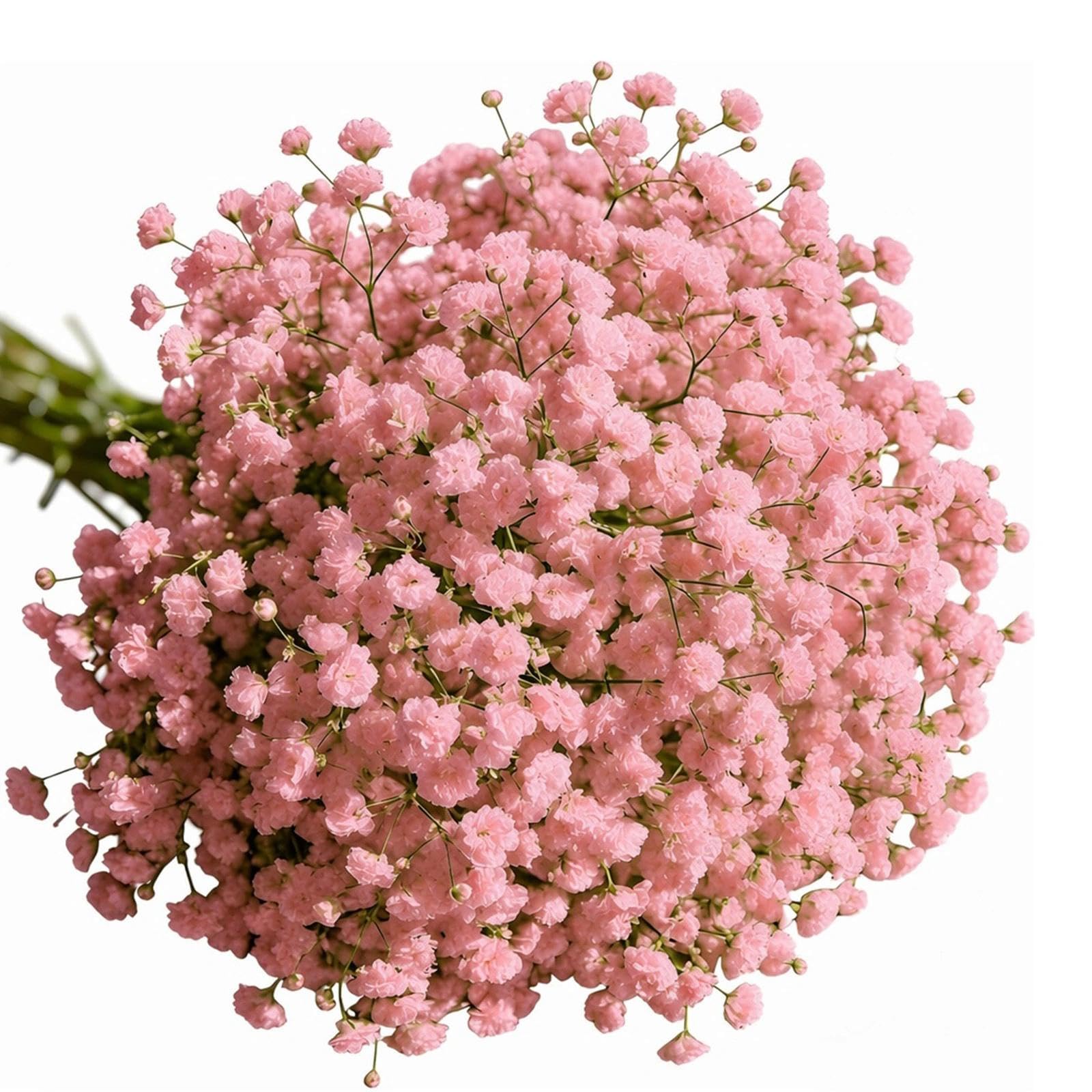 Plumaire 30Pcs Artificial Gypsophila Flowers – Realistic Faux Baby Breath Bouquets, Real Touch Fake Pink Flowers That Look Real, for Wedding, Party & Home Floral Arrangements Decor (pink)