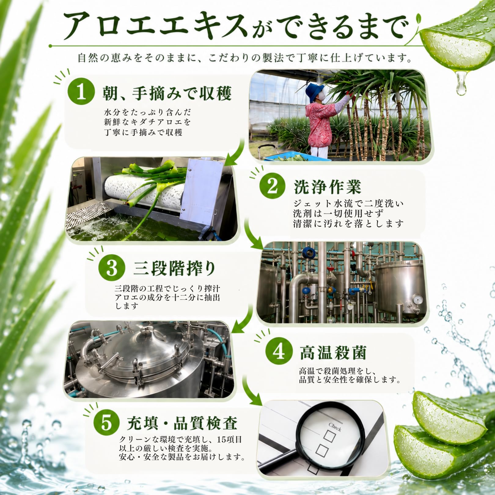 Amazon | マイオーガニック 四万十アロエナチュラルエキス100% 500ml