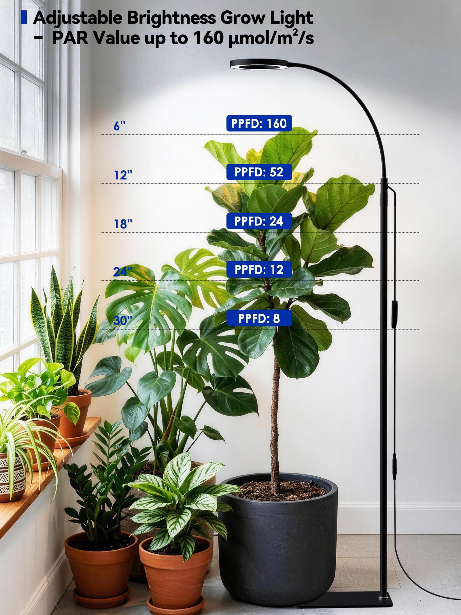 GLOWRIUM - Lampade per la coltivazione di piante da interno, LED a spettro completo da 20 W con luce di crescita, supporto regolabile in altezza e angolazione, lampada per piante nera con timer di