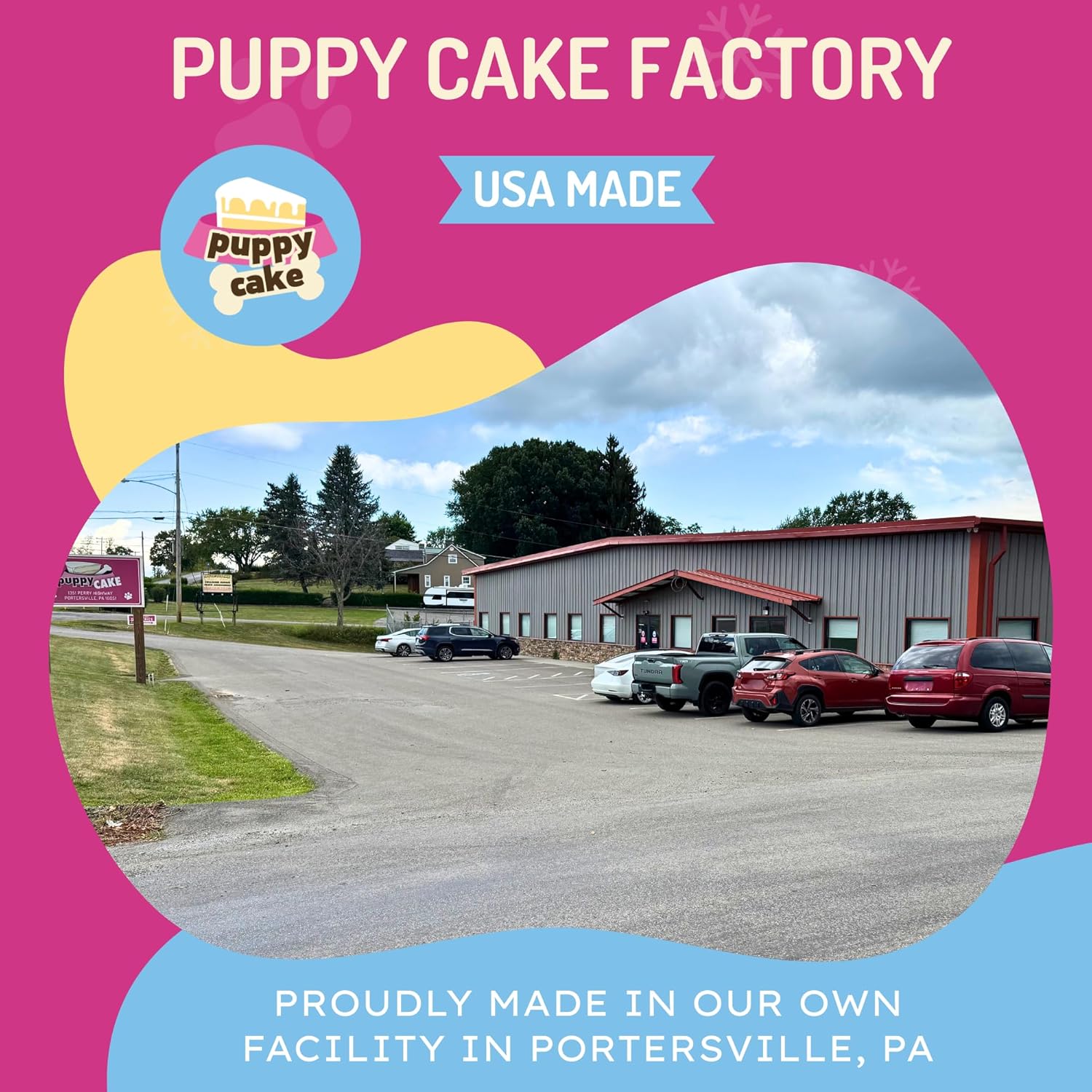 Puppy Cake Mix Dog Birthday Cake Kit, with Bone Silicone Pan and Candles (Birthday Cake, Pink) Made in USA