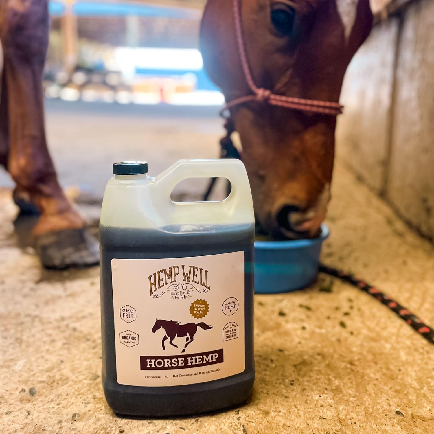 Hemp Well Thrive Oil for Horses, Everyday Supplement for Overall Health, Supports Hip, Joint, and Heart Health, Horse Joint Supplement, Organically Sourced Hemp Seed Oil- 1 Gallon
