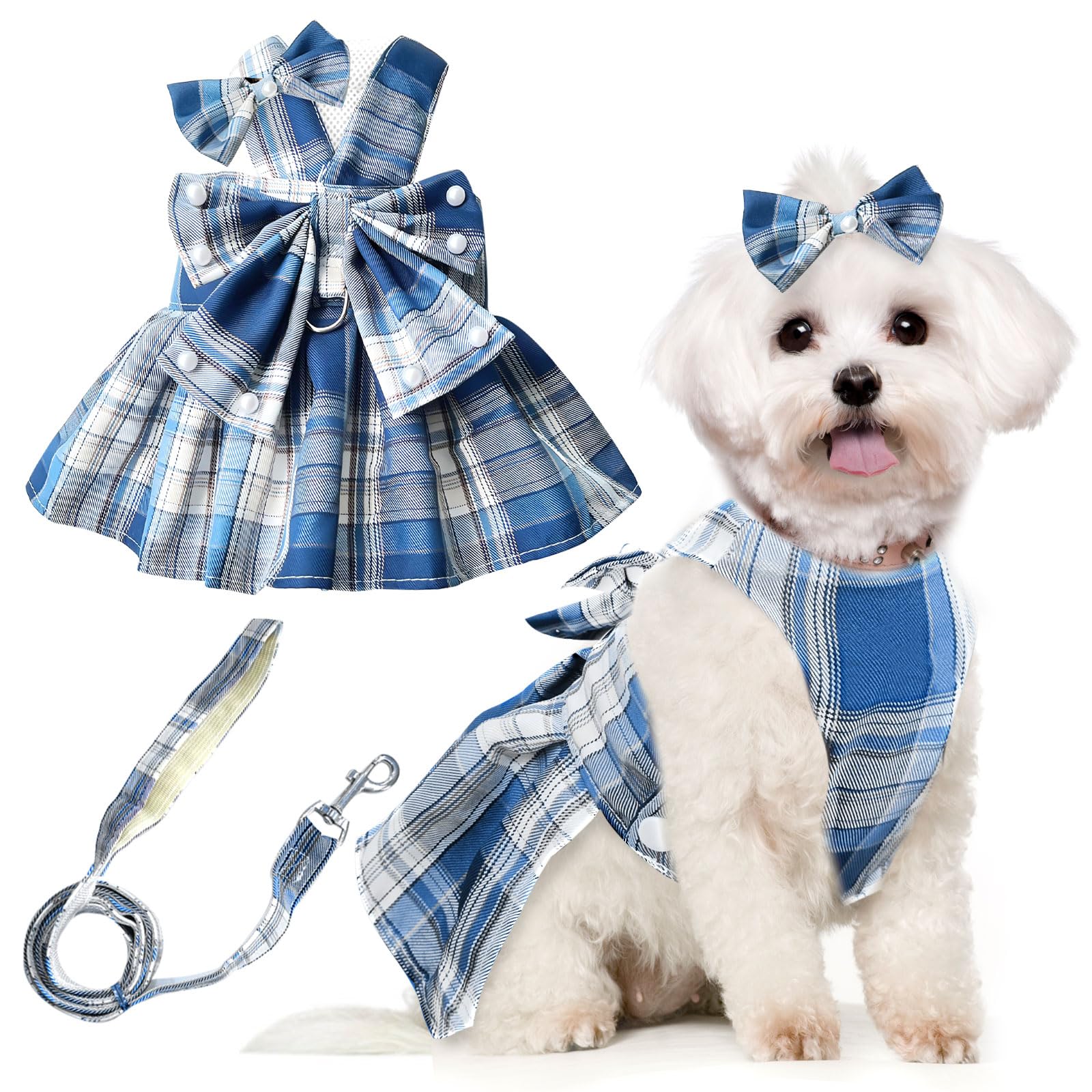 Robe bleue pour chiot Shih Tzu résolvant le problème de traction au cou