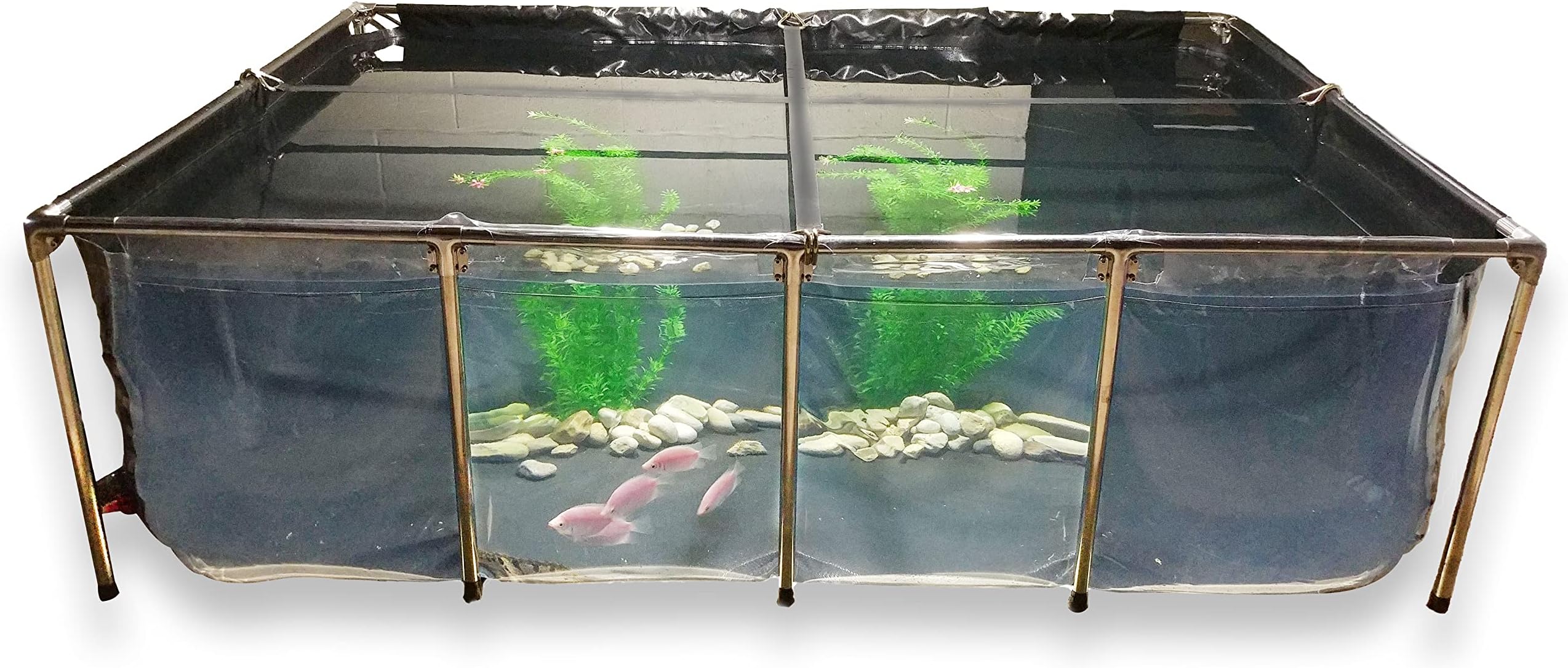 SC Aquariums 150 Gallon Starfire Glass Aquarium 60x24x24