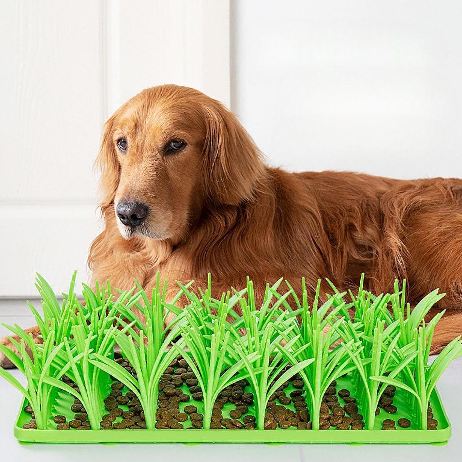 Tapis de Flairage Chien Tapis de Fouille Tapis d'alimentation Lent Jouet Interactif Silicone Antidérapant pour Animaux de Compagnie Dressage Jeu