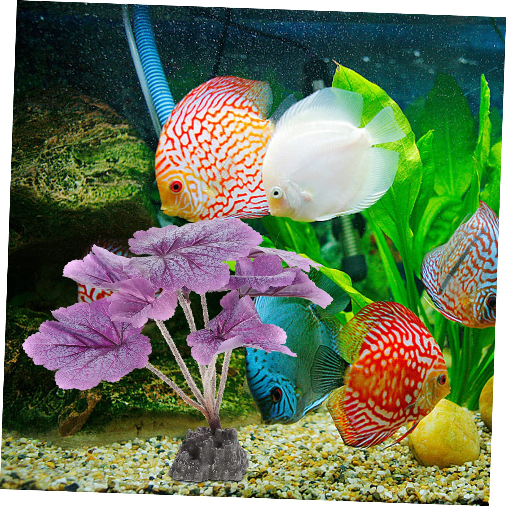 FOMIYES 3stücke Künstliche Aquarium Pflanzen Simulierte Wasserpflanze Hochwertigem Kunststoff Für Natürliche Dekoration Im Fischbecken Versteckmöglichkeiten Für Fische Und Eine