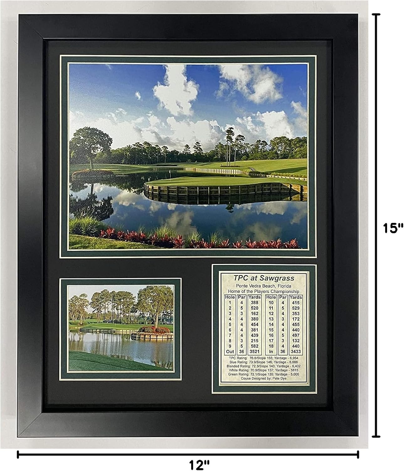 TPC Sawgrass Hole #17 at The Players Championship Collectible | Framed Photo Collage Wall Art Decor - 12"x15" | Legends Never Die, Model: 12969U Black