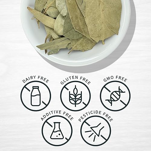 Miniatura 3 de Eucalipto Hojas de Eucalipto Hierba 4 oz. Eucalipto, cinta de goma, goma brillante – Bolsa resellable de pie para garantizar la frescura