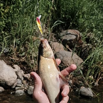 Amazon.co.jp: GIZMAC 釣り ワームセット ワーム 釣りルアー