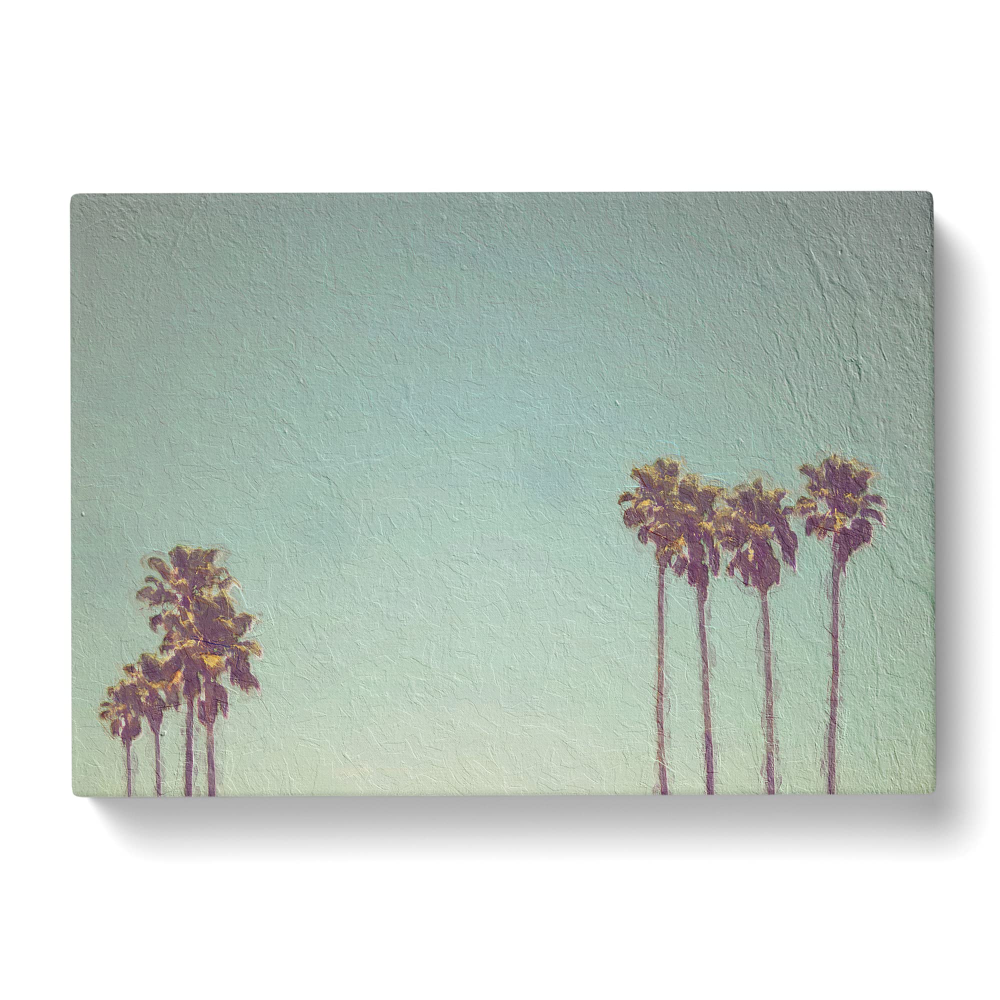 Palm Trees In Santa Cruz California Canvas Print, Mixed, 25L x 50W cm - Image 2