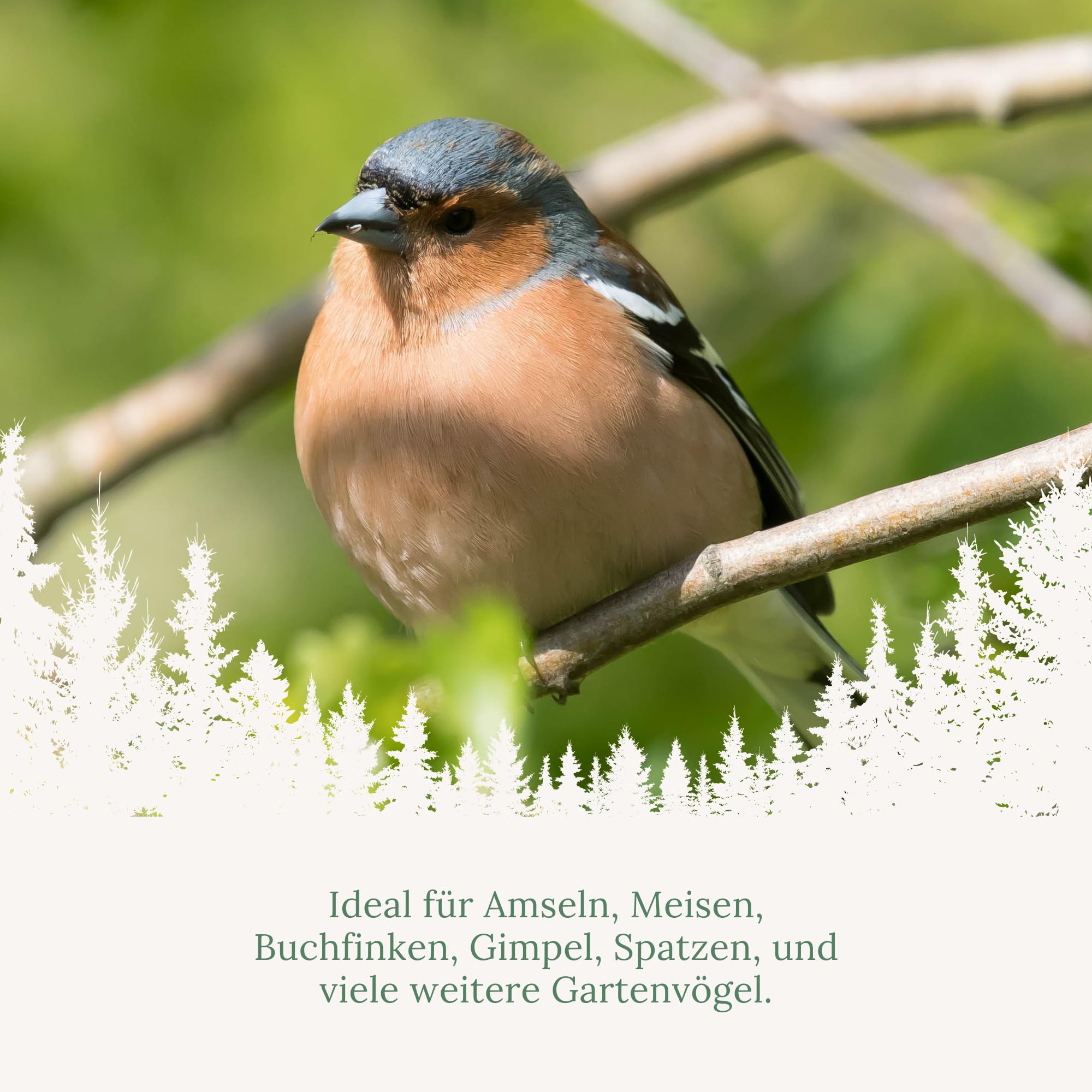 Orni Riesen Meisenknödel mit Insekten 500g | 12 Stück | Leckerer Insektenknödel mit Netz zum Aufhängen | beliebt bei Amseln Meisen und Co | Ganzjahresknödel für Winter, Frühjahr und Sommer
