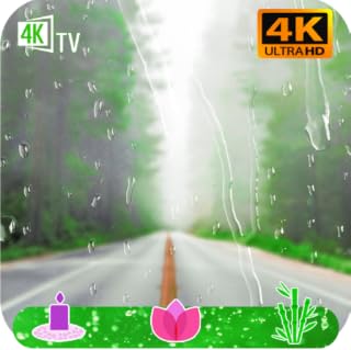 Nature Gentle Rain ☔ Sounds For Sleep And Meditation Anti Stress Peaceful Sleep And Meditation No Ads