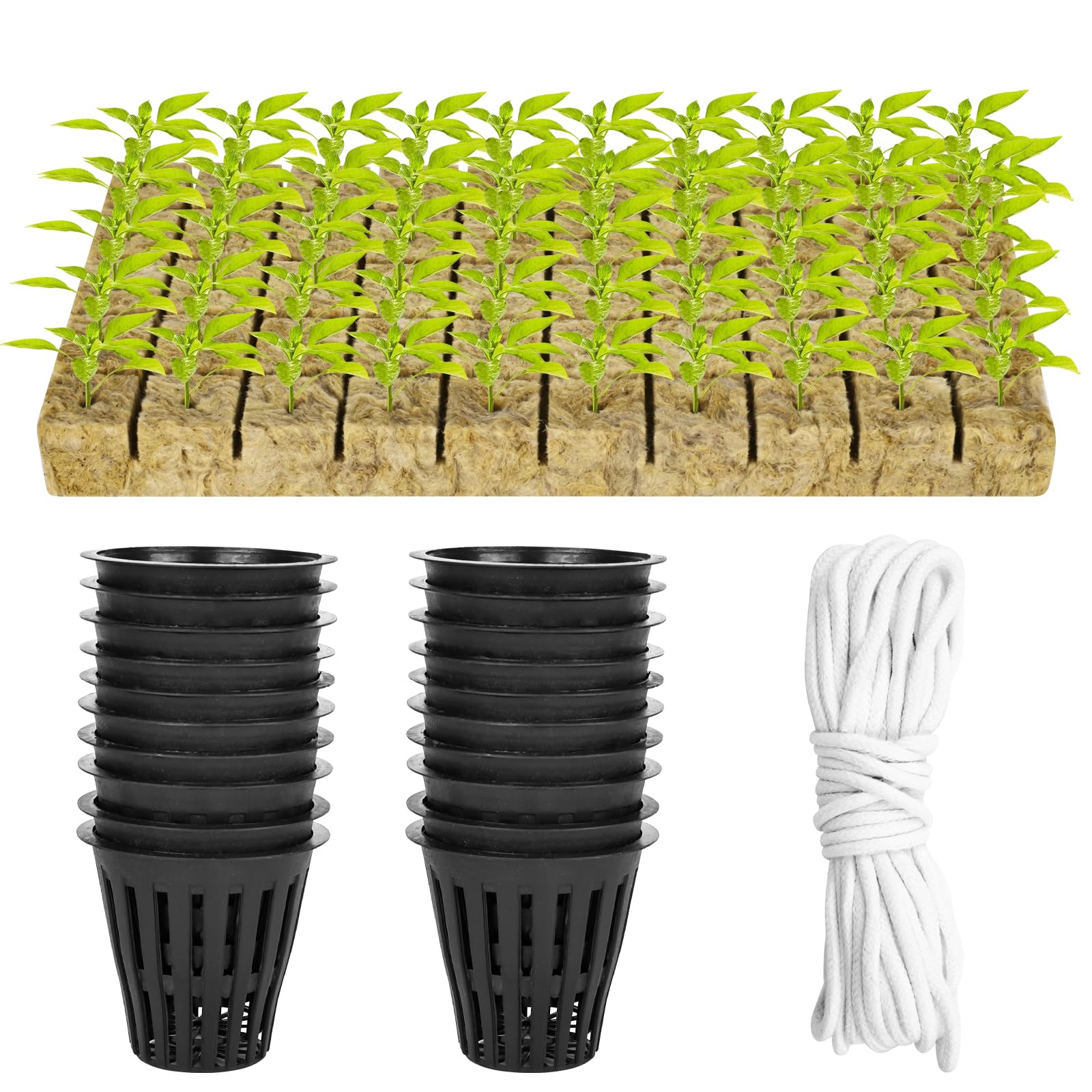 Set di 100 vasi a rete, per coltura idroponica, include 50 tazze a rete scanalate da 5 cm e 50 cubi per piantare in lana di roccia con stoppino autoirrigante da 10 m, per acquaponica per