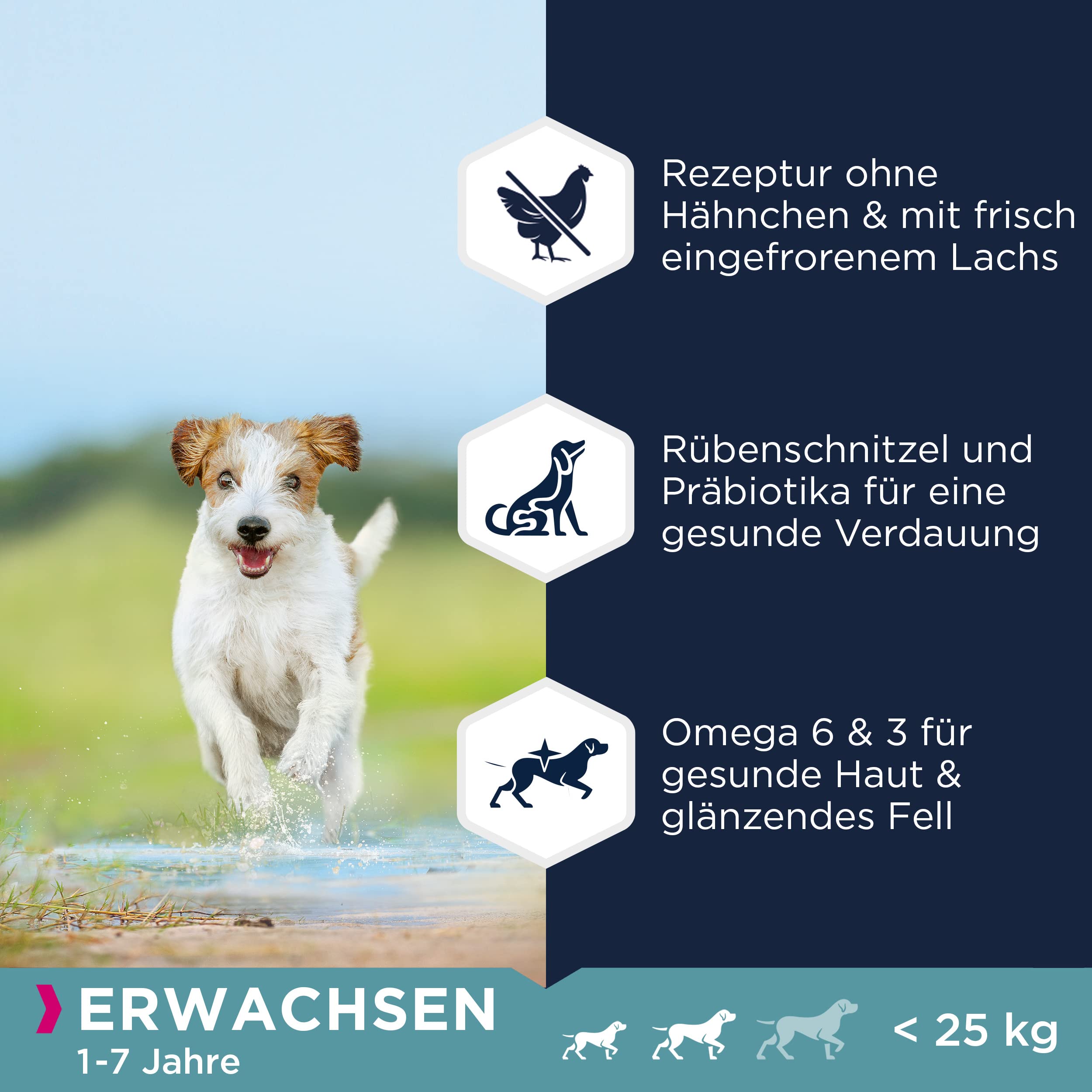 Eukanuba Hundefutter getreidefrei mit Fisch für kleine und mittelgroße Rassen - Trockenfutter für ausgewachsene Hunde, 12 kg